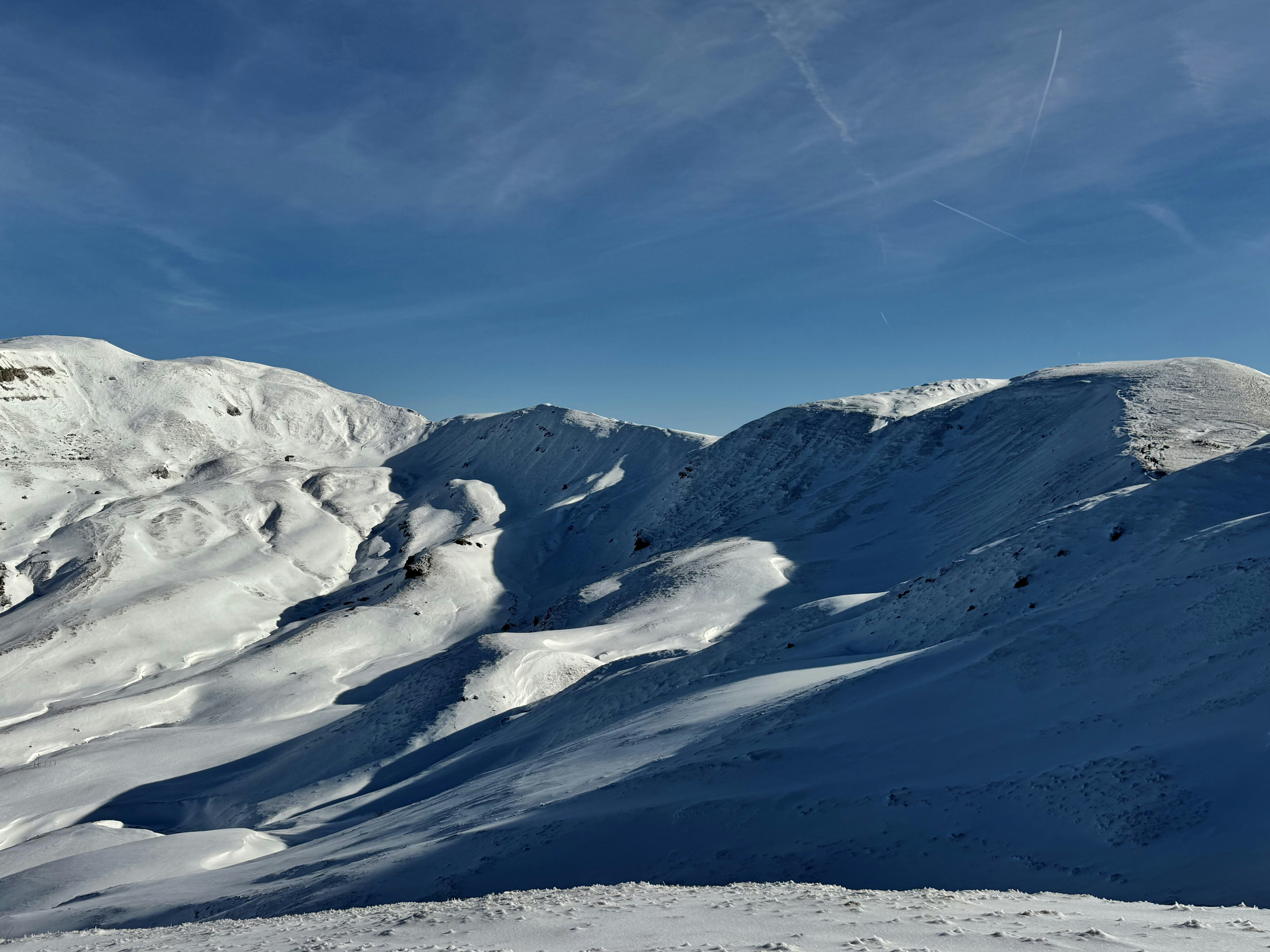 Photo by michaelmartinelli