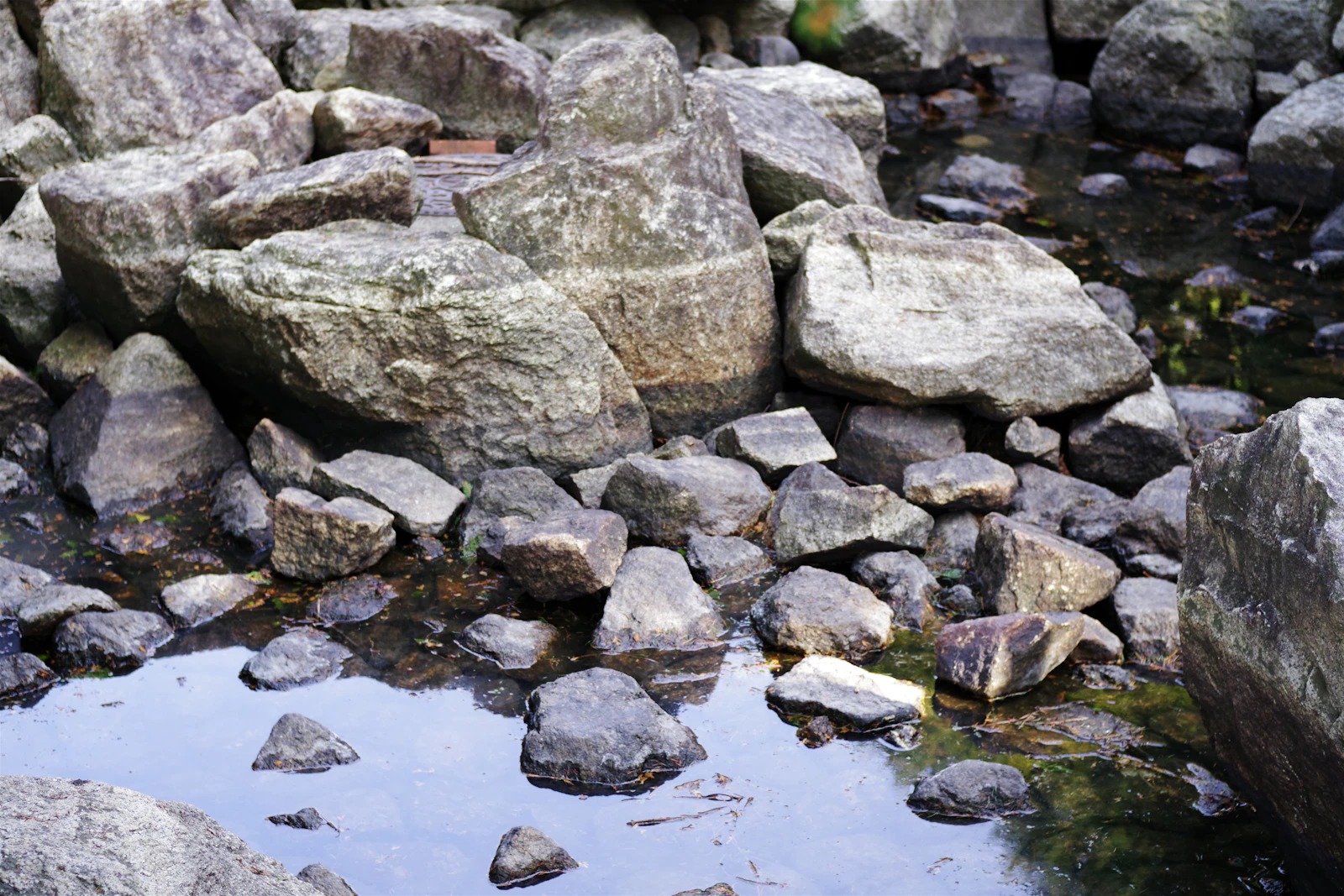 A boulder-strewn run with pockets and pools — the bank structure and deep slots where fall browns hold