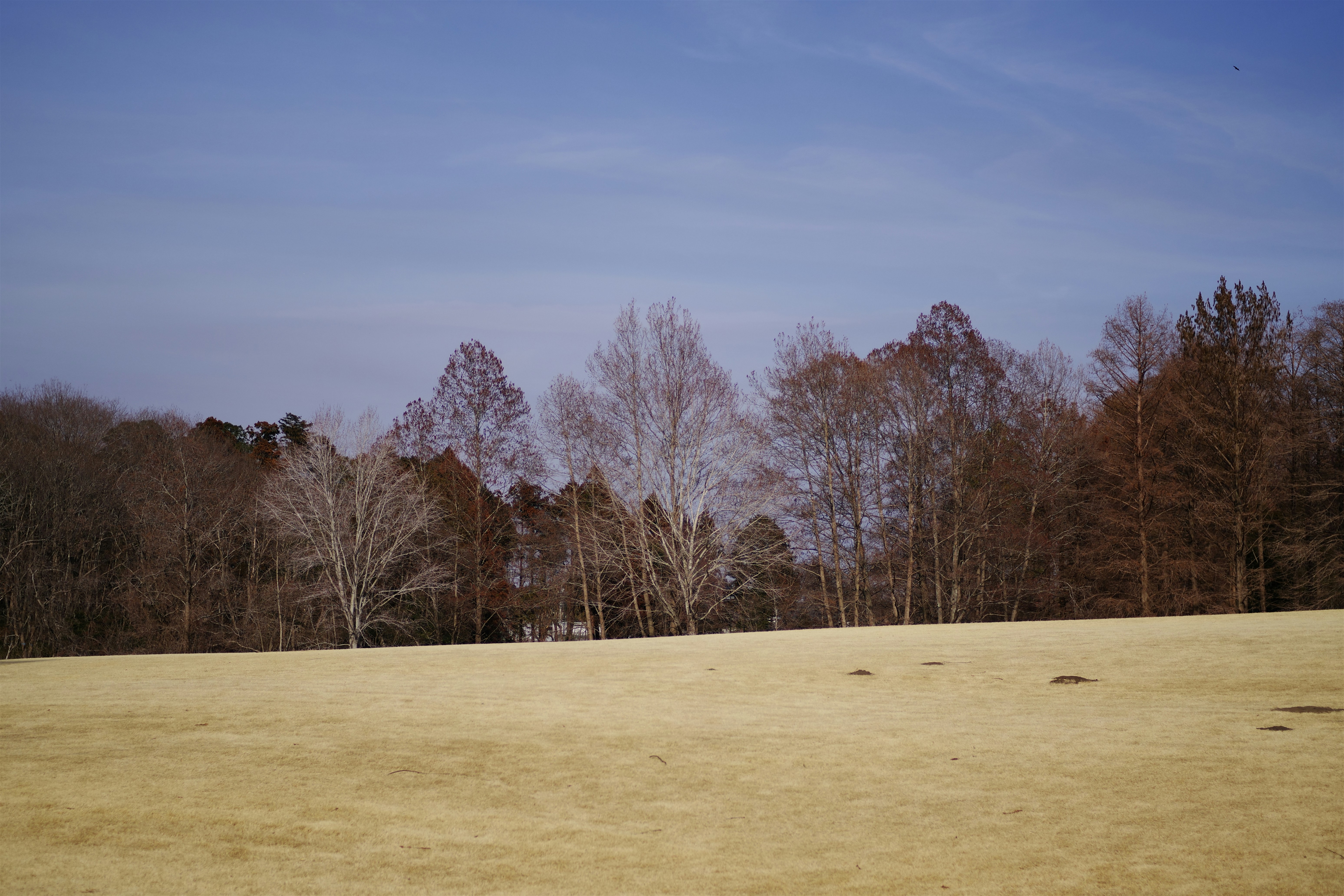 Photo by naopp
