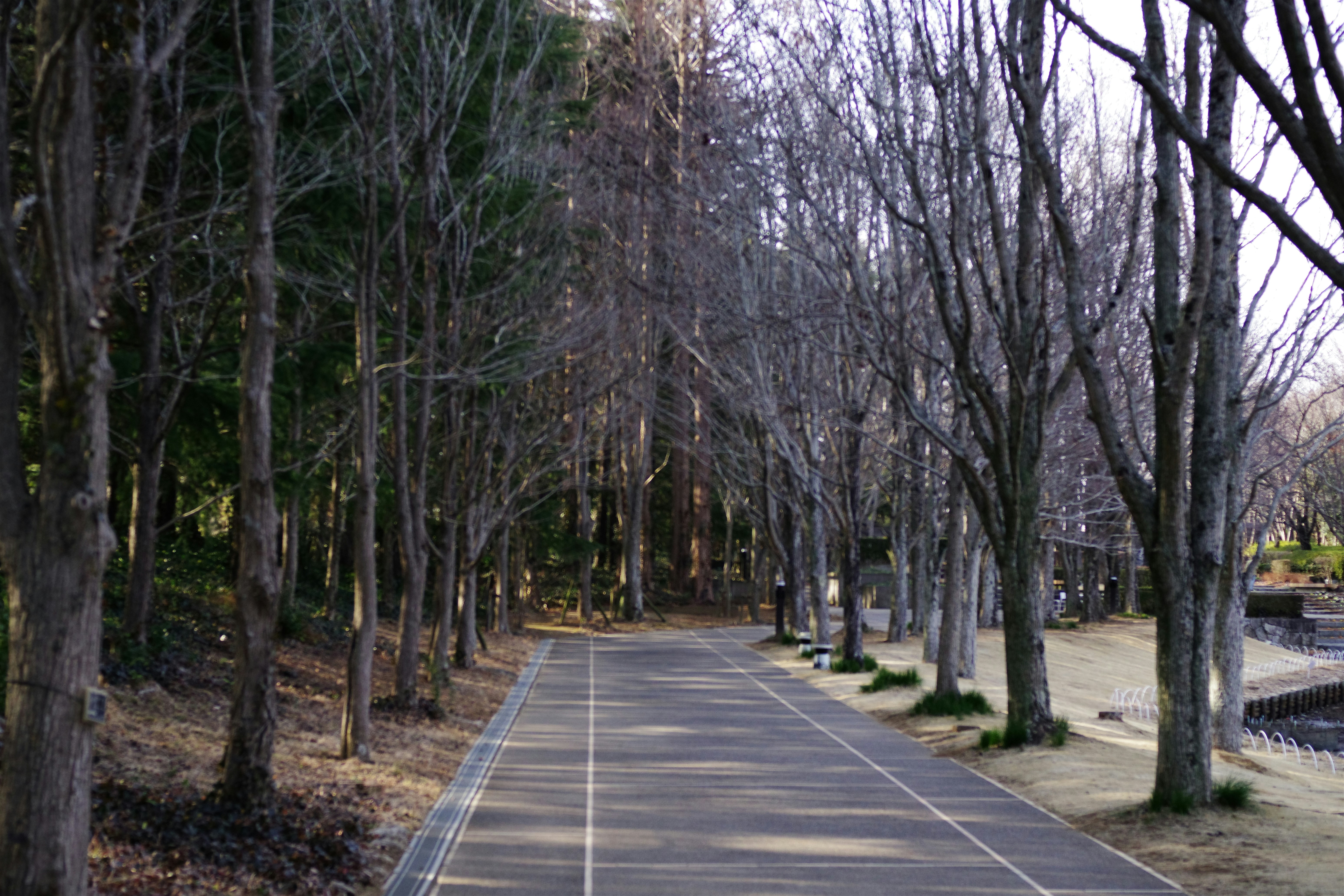 Passport services in Birch Run