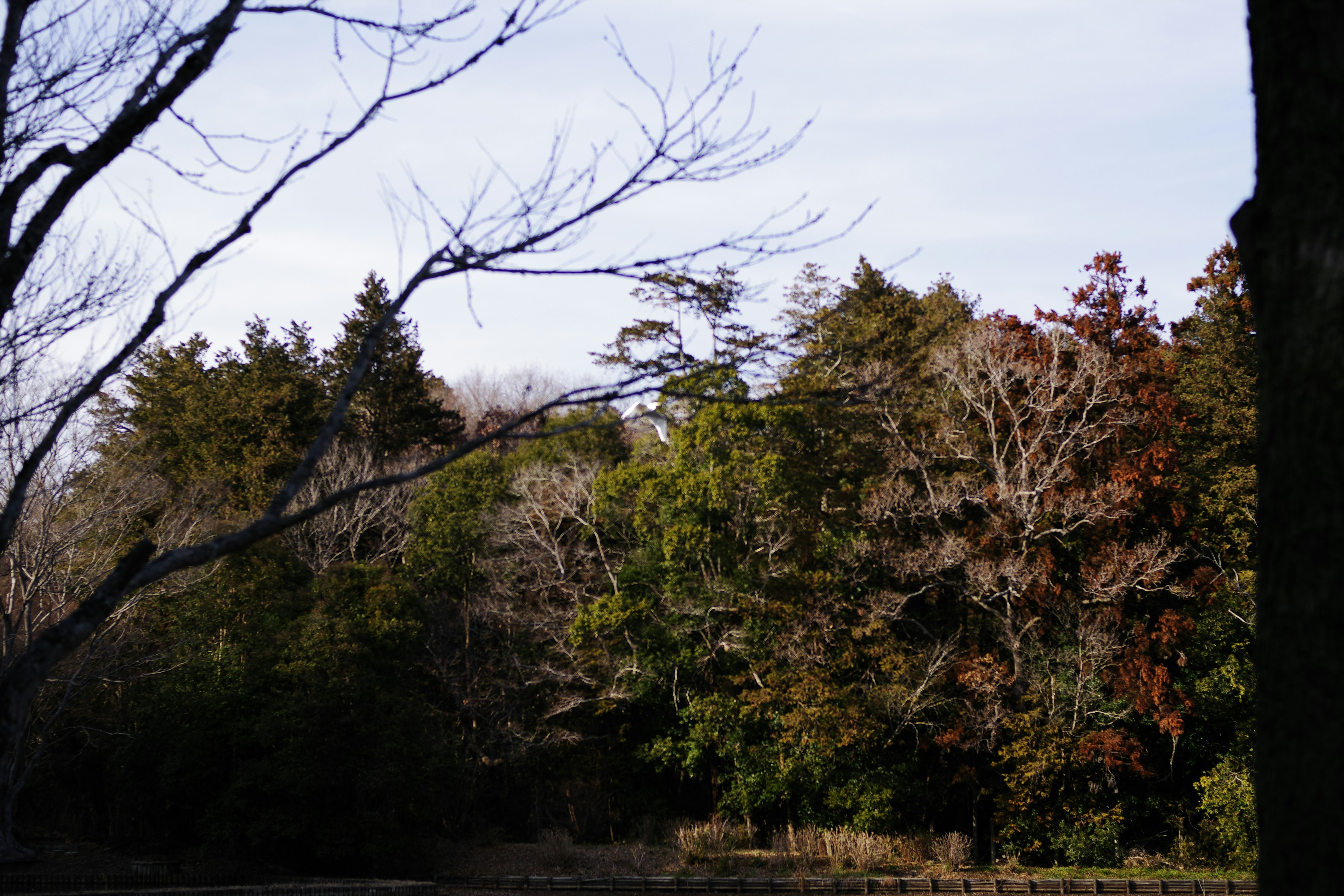 Photo by naopp