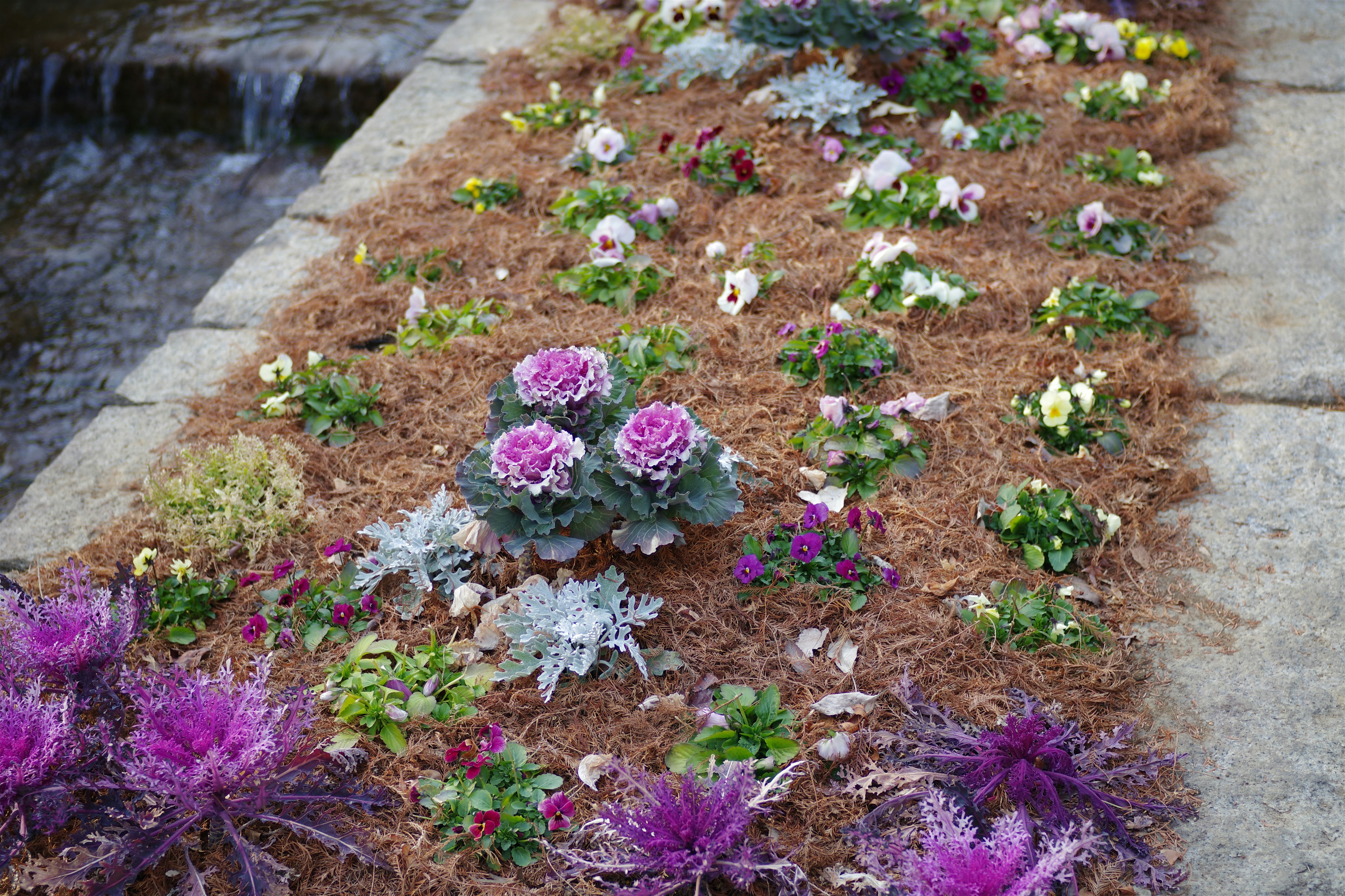 Flowers and plants arranged along a stonewall.