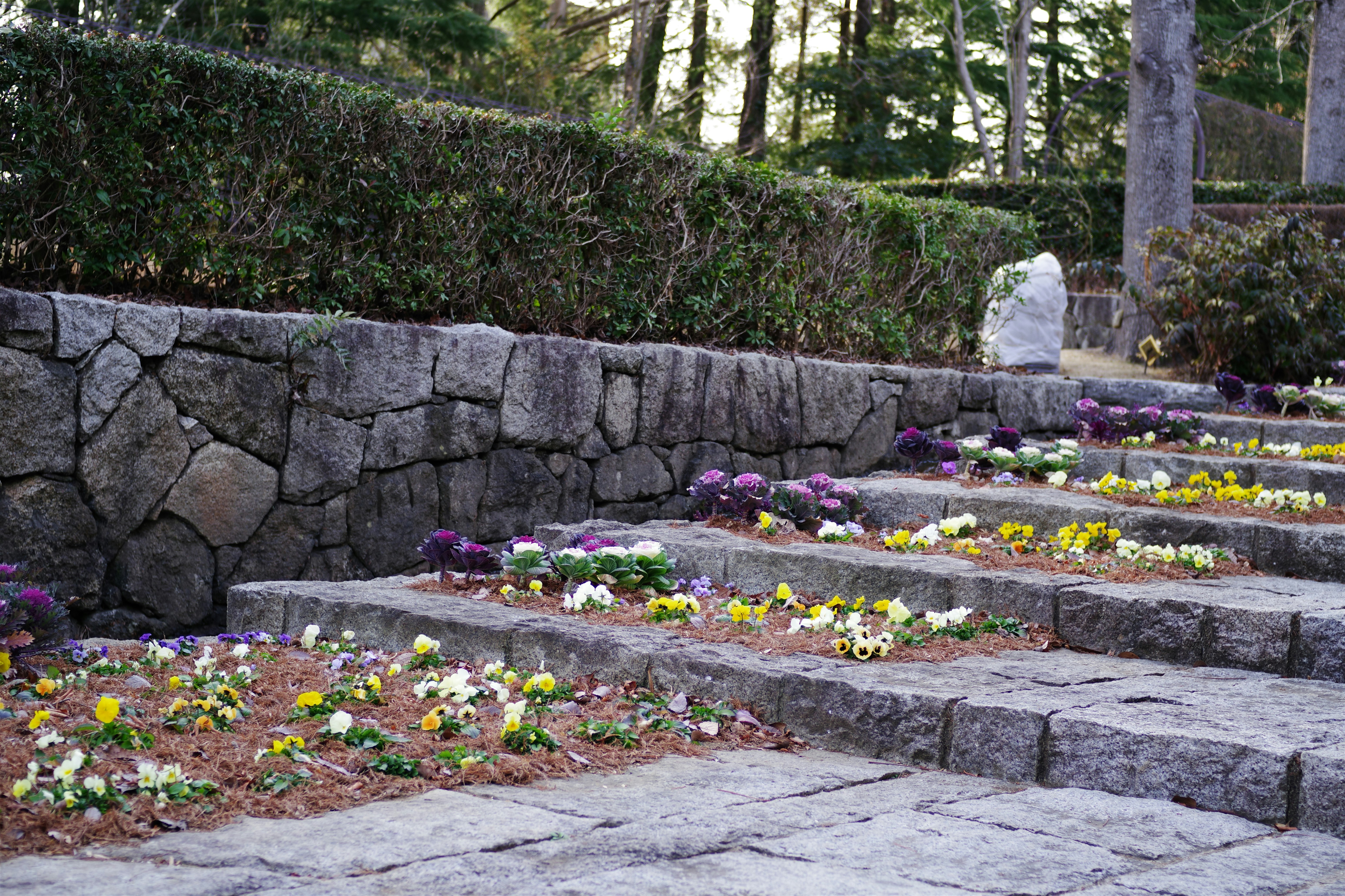 Steintreppe mit Blumen im Außenbereich – für Outdoor-Sitzlifte