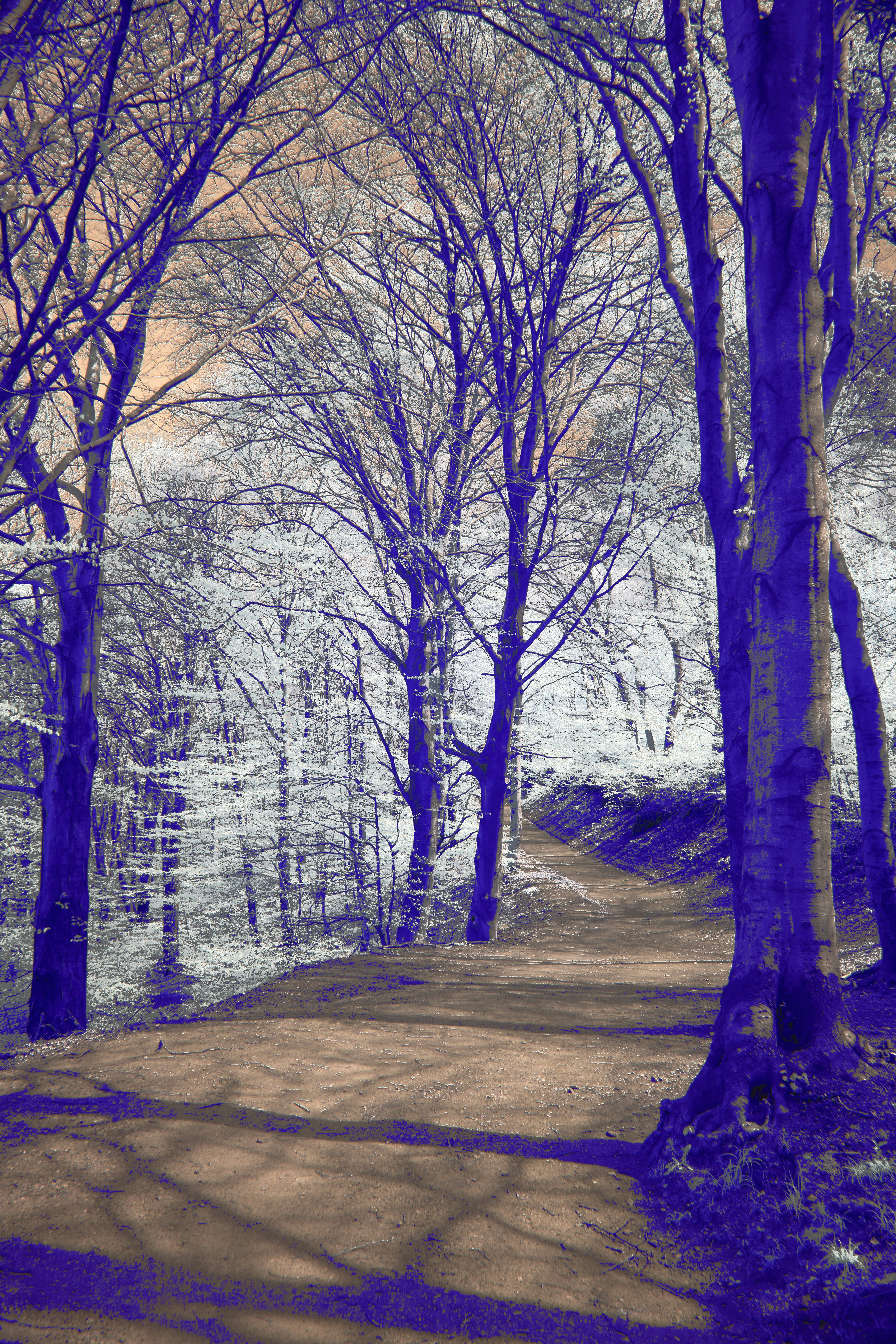 Photo by wolfgang_hasselmann