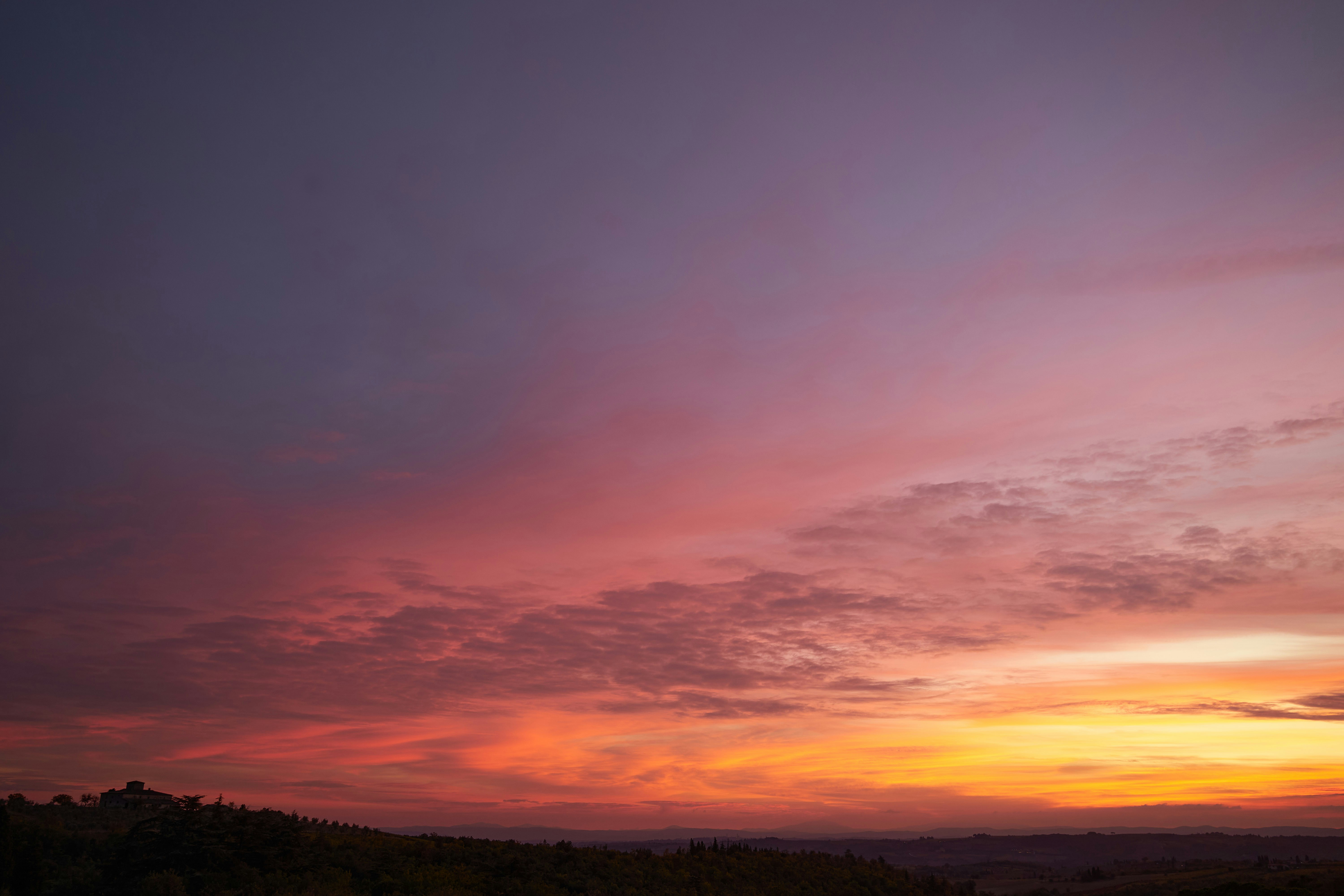 Photo by wolfgang_hasselmann