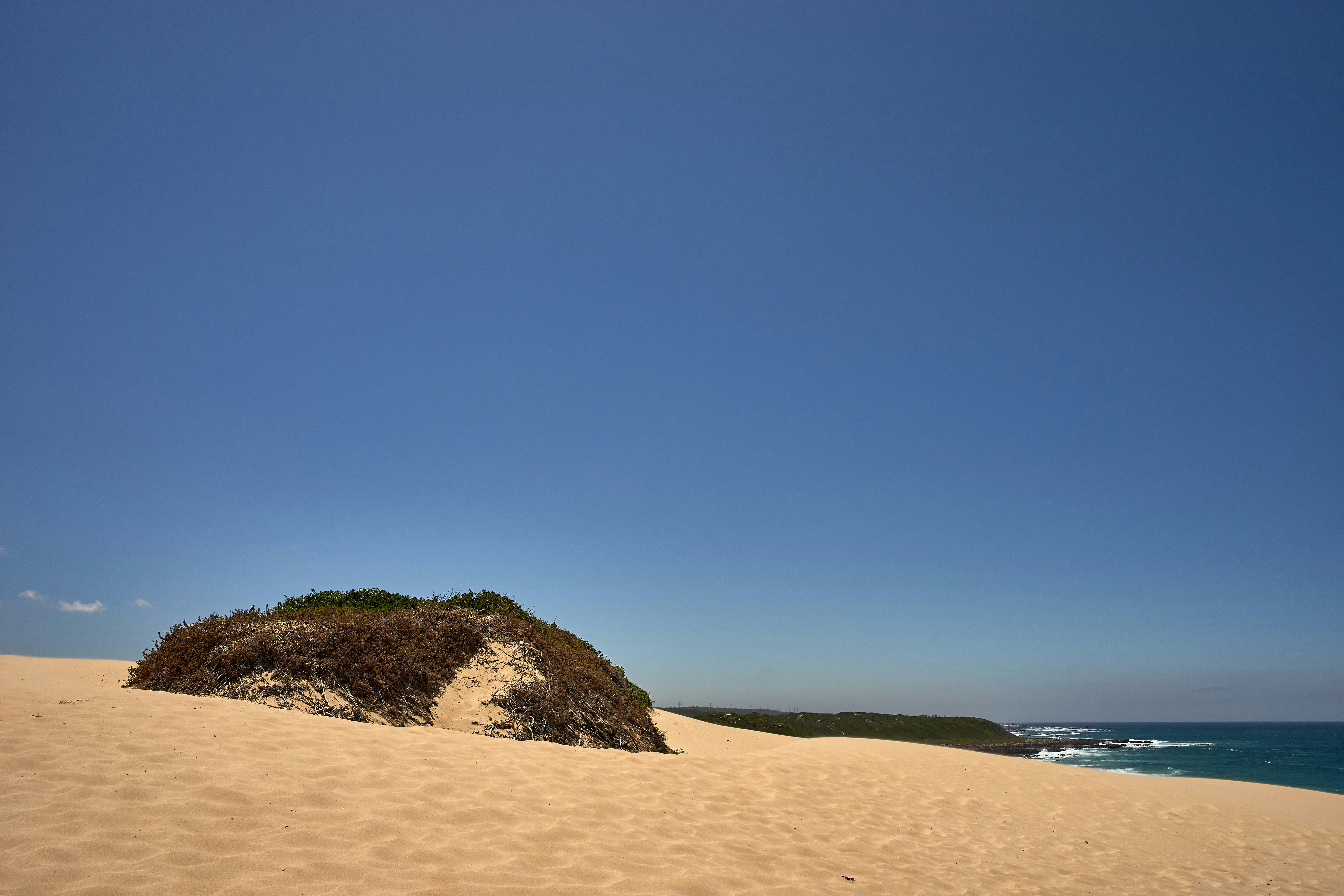 Photo by wolfgang_hasselmann