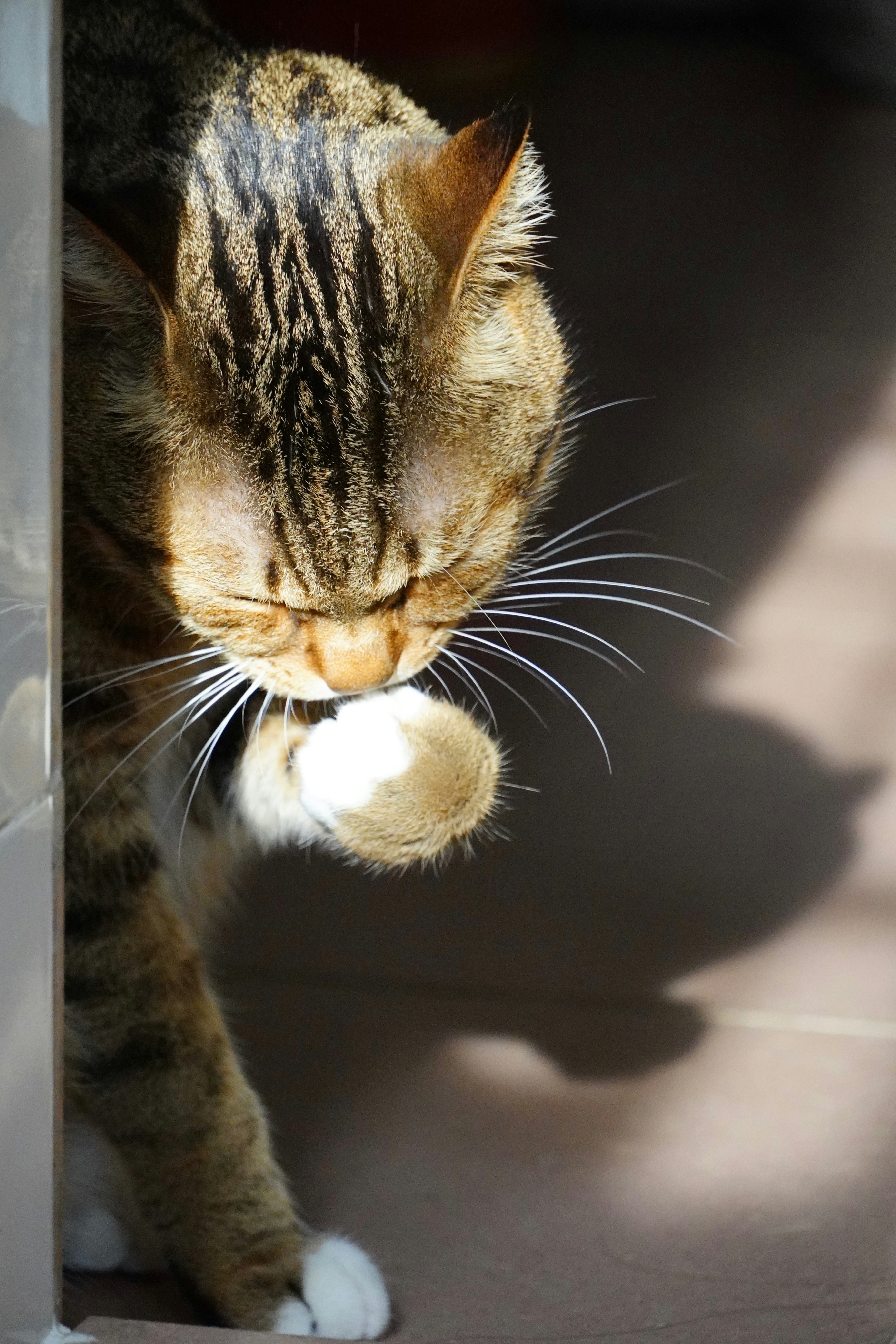 Photo by bubblyslayer