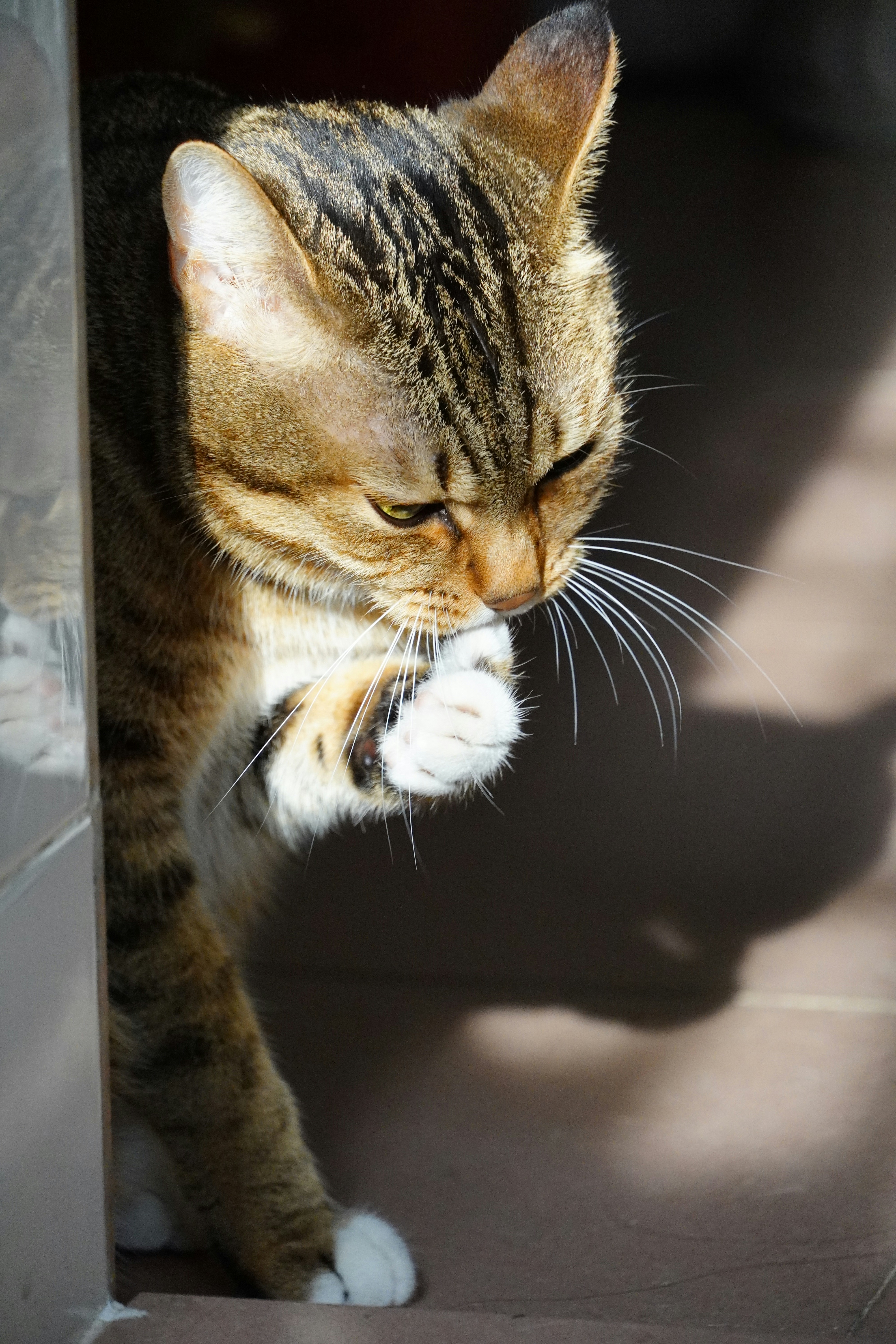 Photo by bubblyslayer