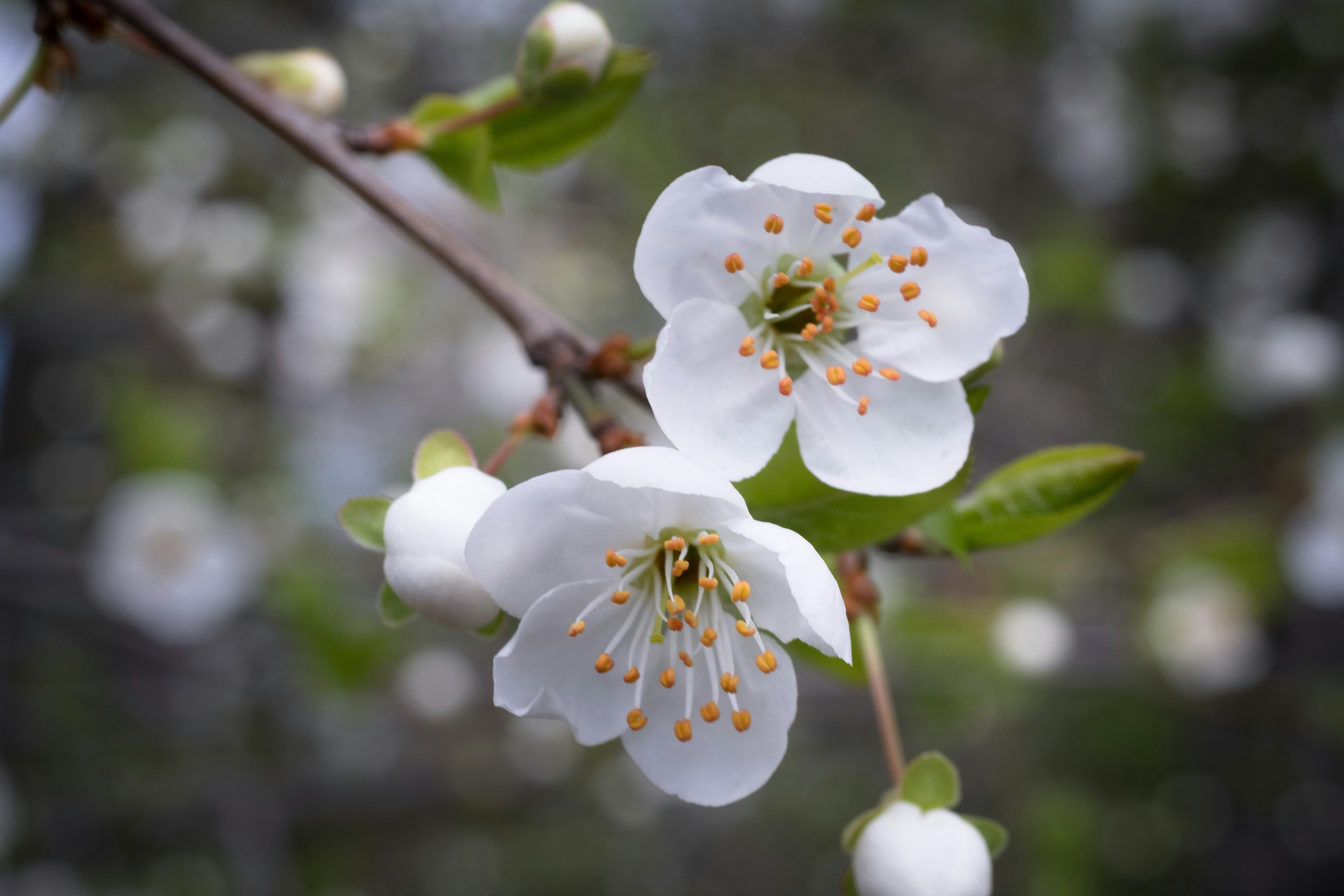 Photo by sevencolors