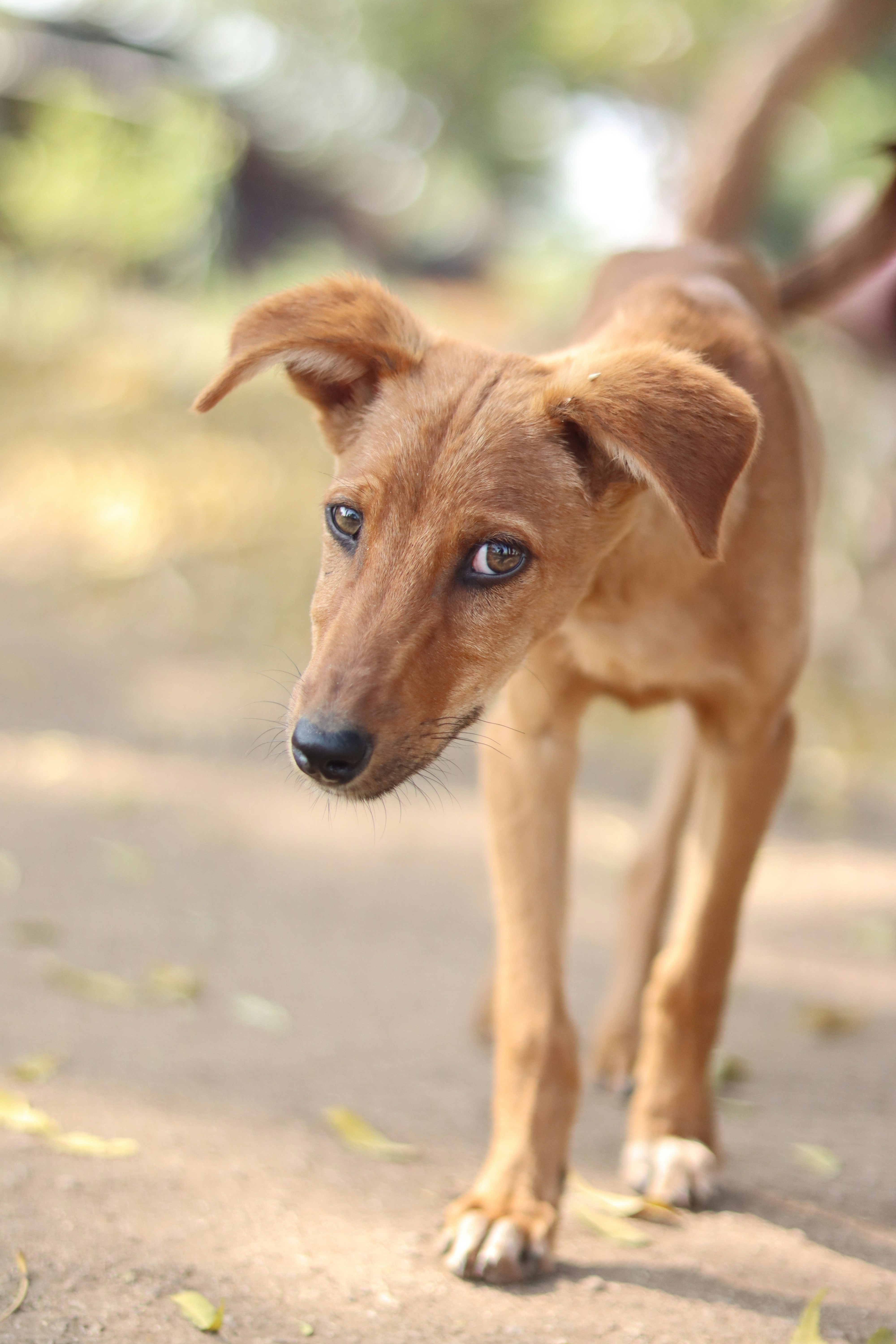 Photo by shubhamshewale_