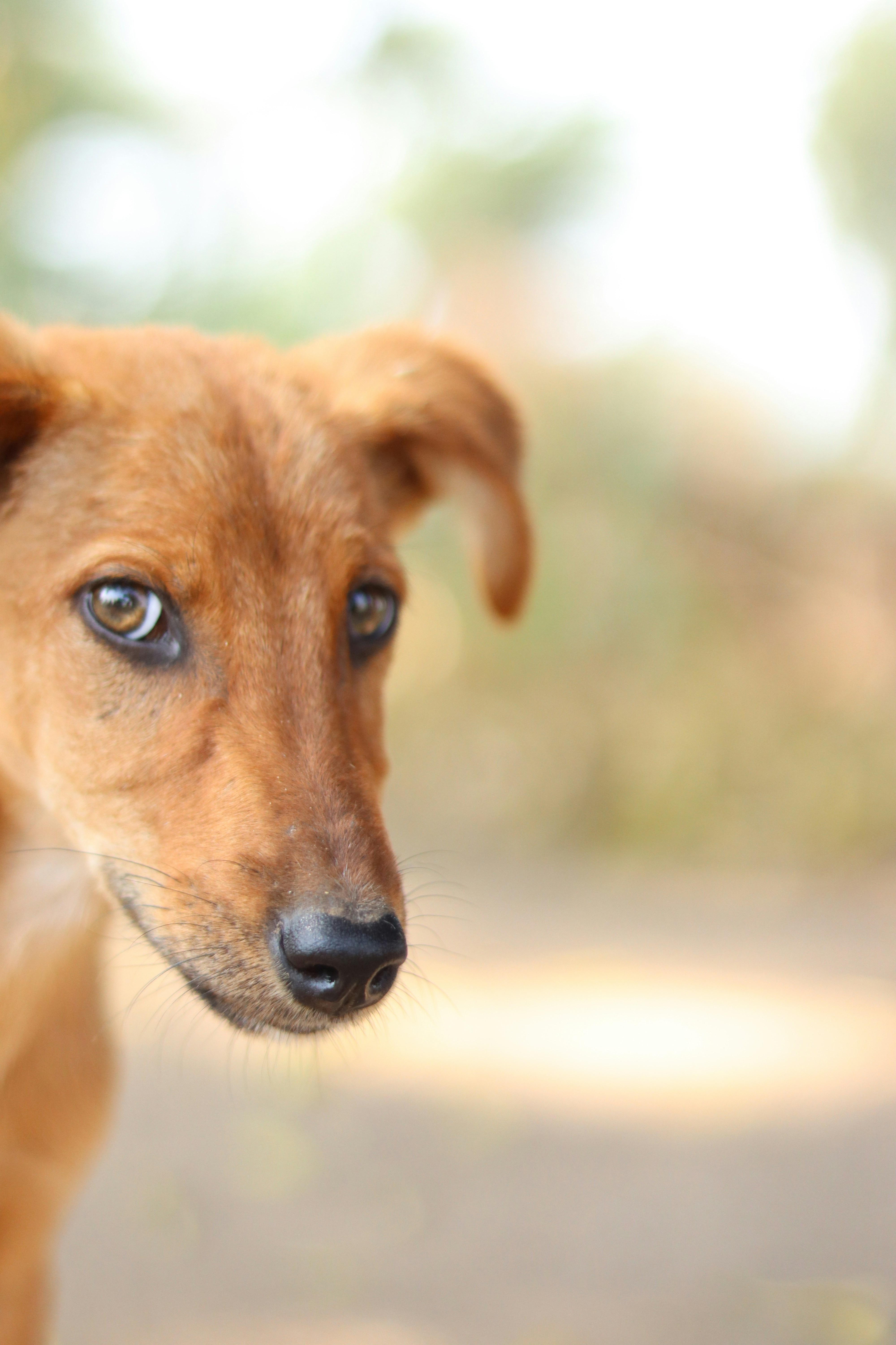 Photo by shubhamshewale_