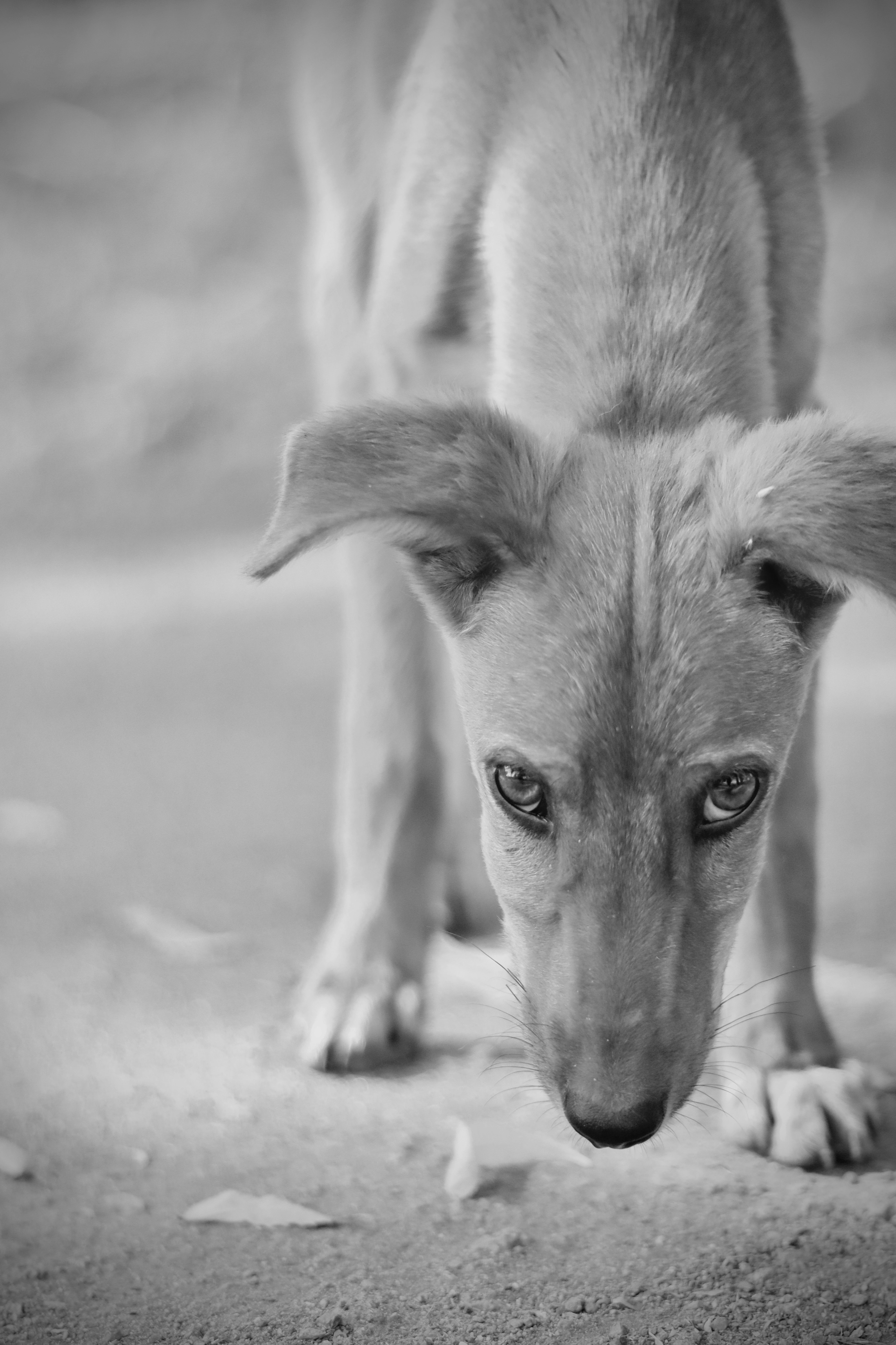 Photo by shubhamshewale_