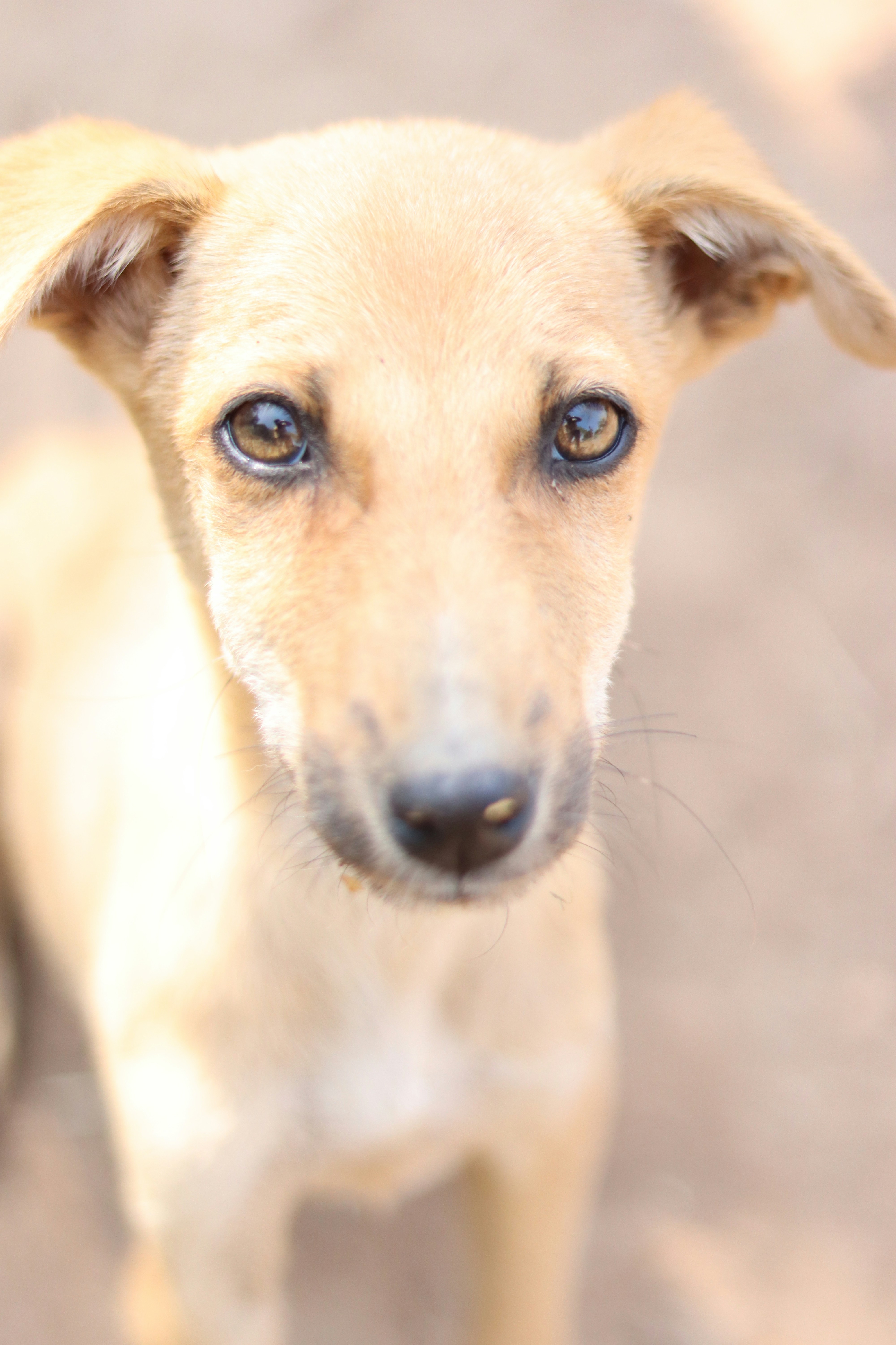 Photo by shubhamshewale_