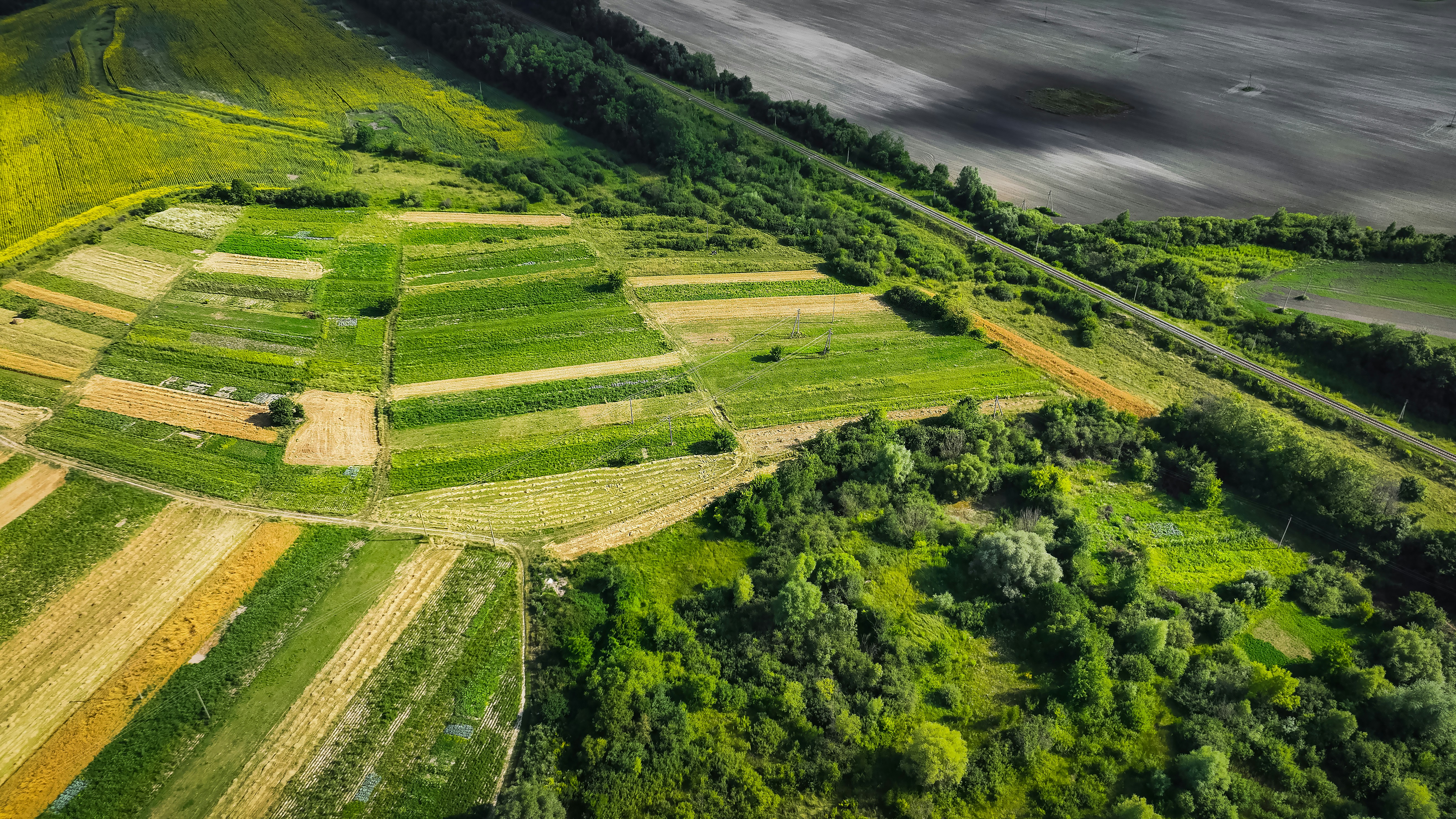 photo 1740828612679 c97672e9dc9d?crop=entropy&cs=tinysrgb&fit=max&fm=jpg&ixid=M3w1MjQ0NjR8MHwxfHNlYXJjaHwxNHx8UmV2aXRhbGl6aW5nJTIwRGVncmFkZWQlMjBMYW5kJTIwYW5kJTIwU29pbHxlbnwwfDB8fHwxNzY4NDcwNTczfDA&ixlib=rb 4.1