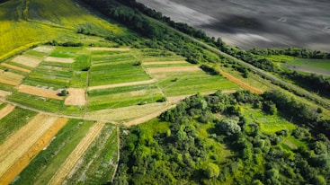 An aerial view of a green field with a mountain in the background