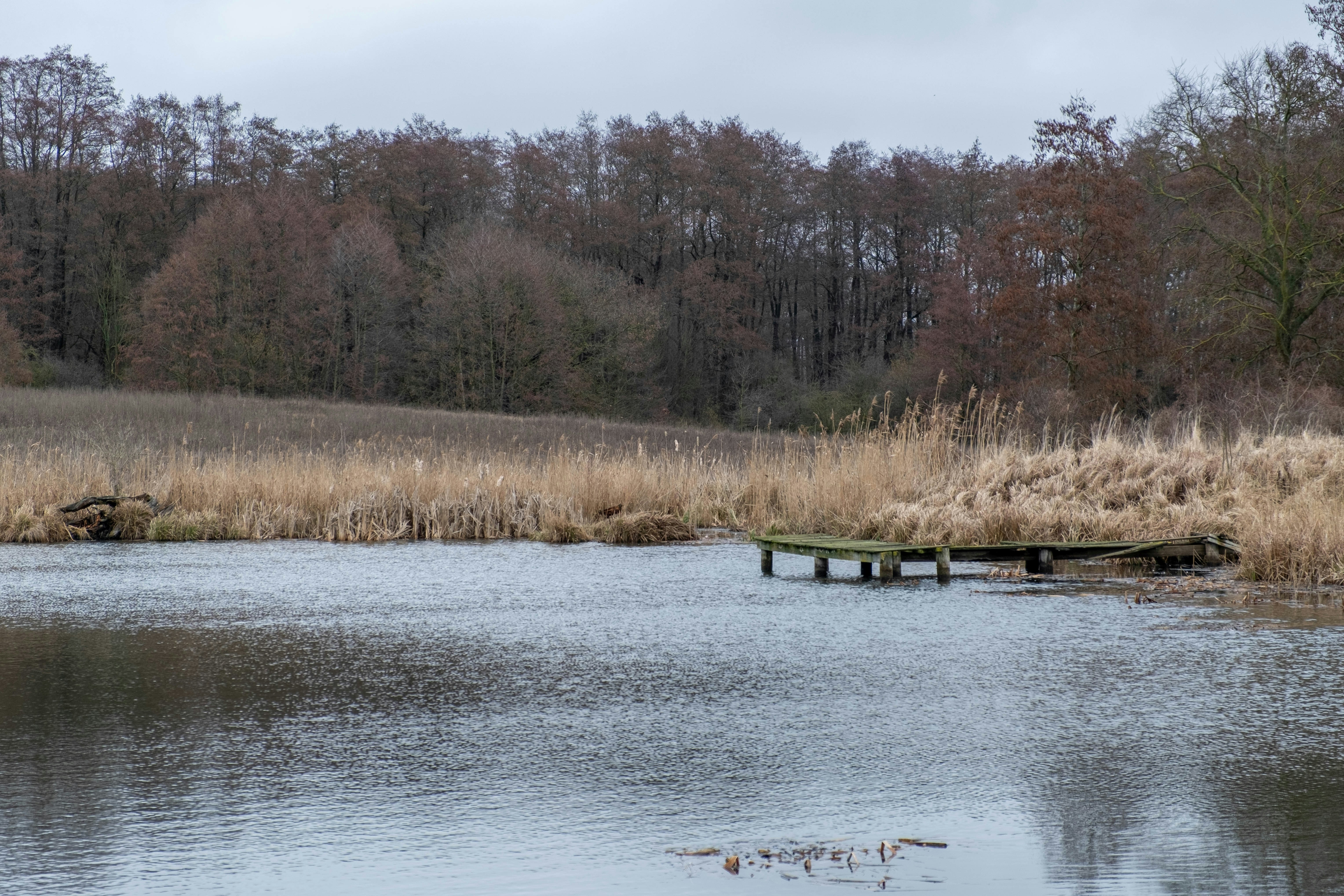 Photo by skajpel