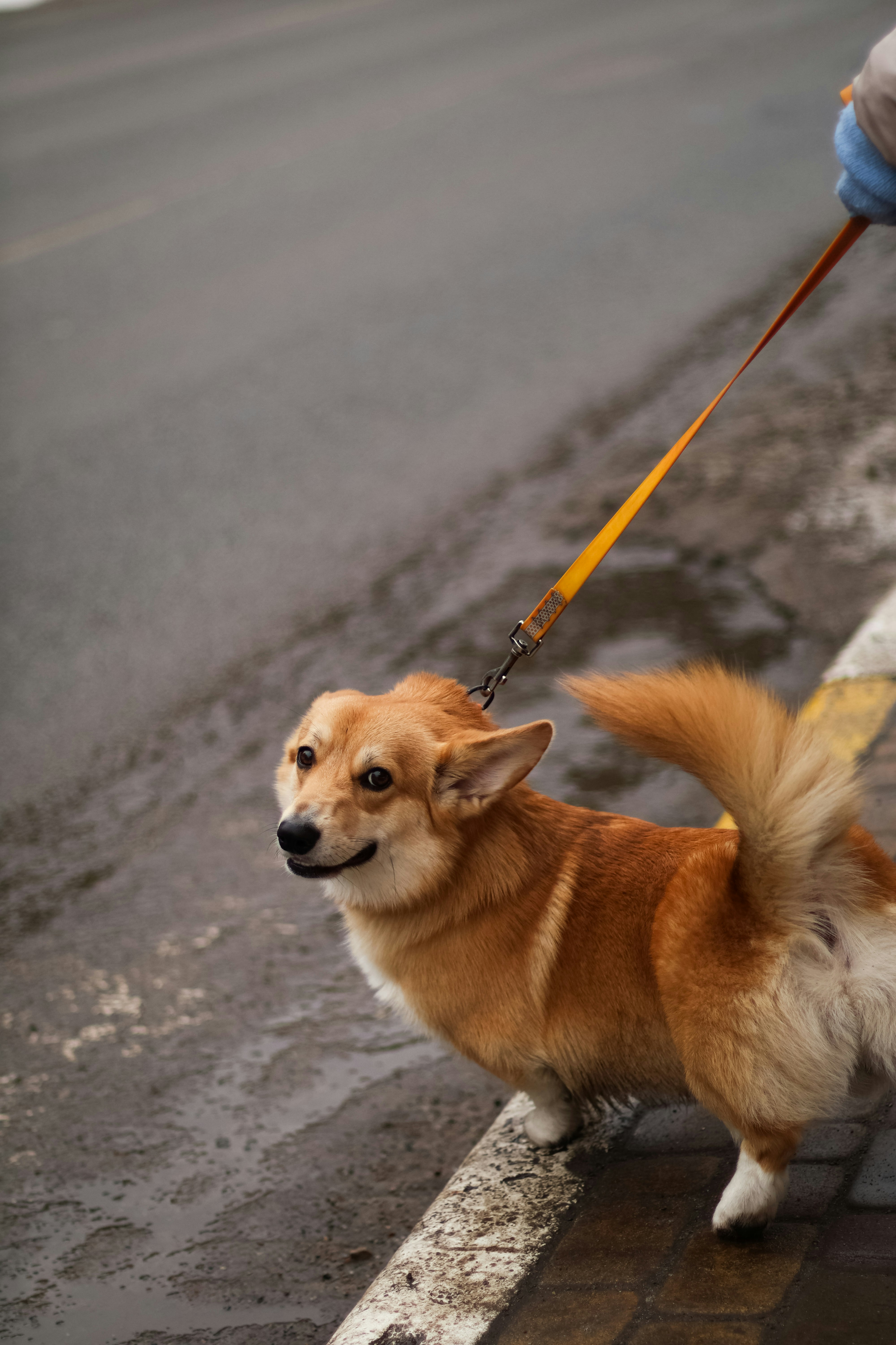 Photo by anyutakejbalo