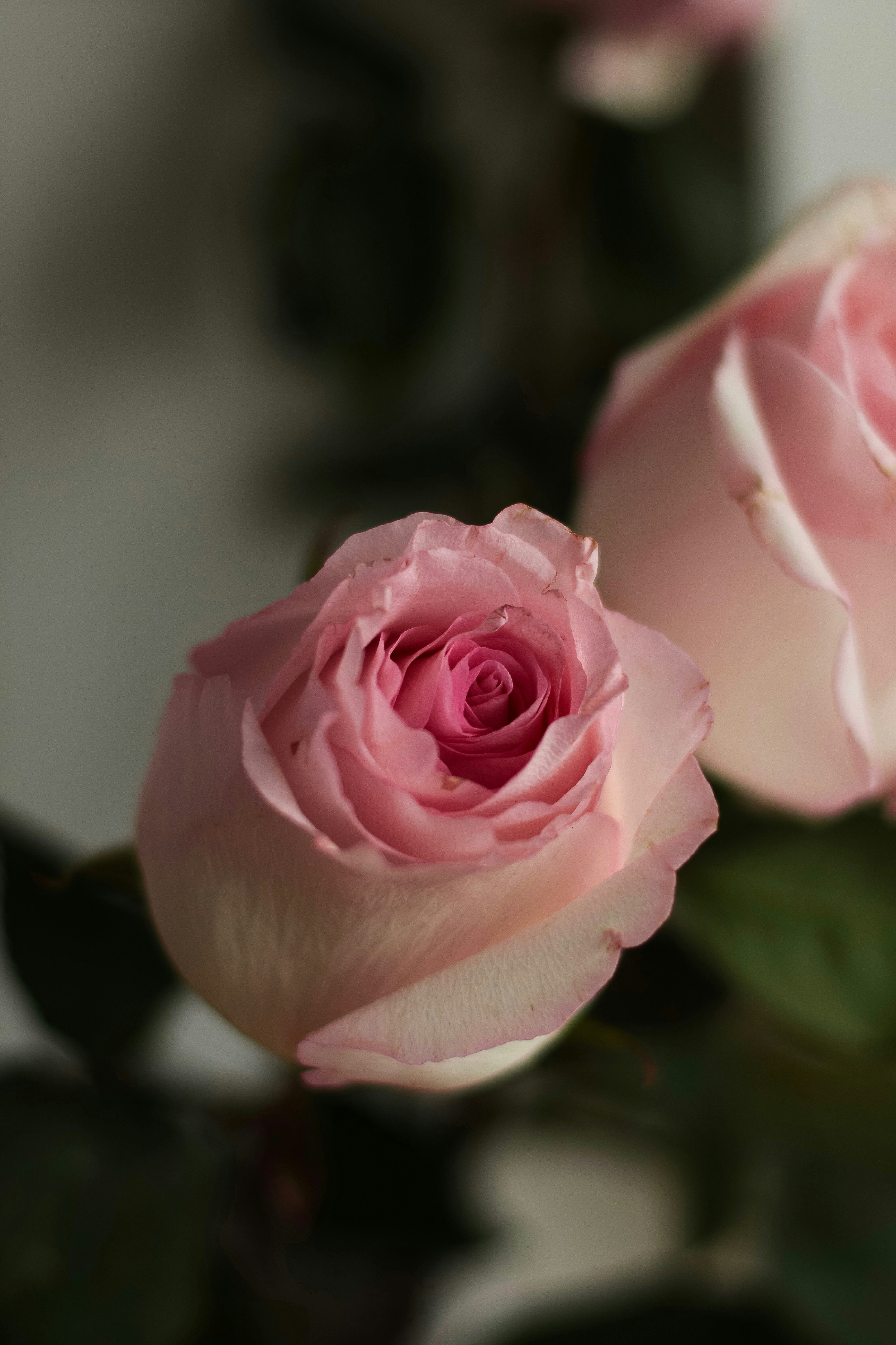 Photo by anyutakejbalo