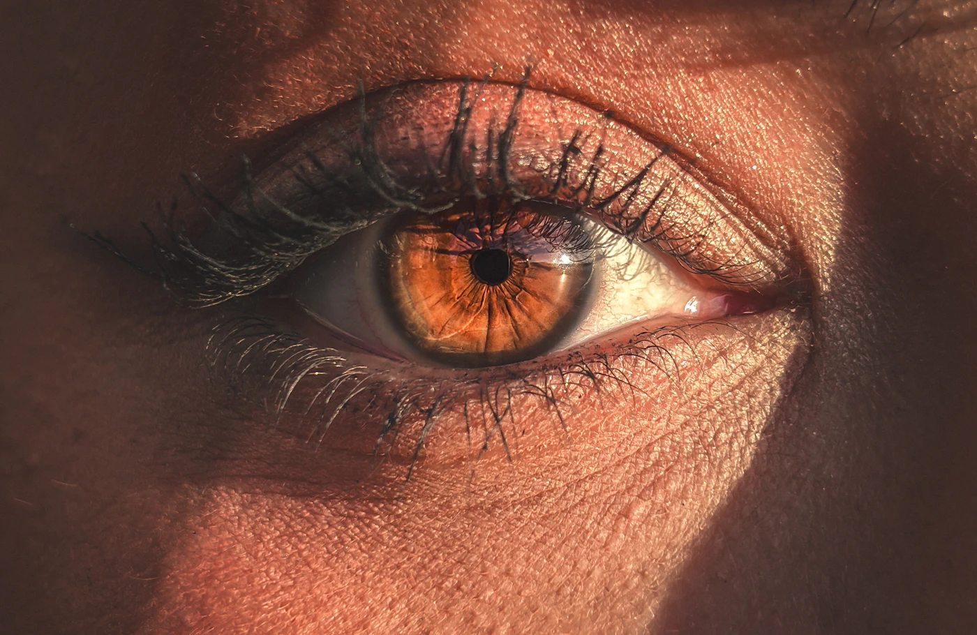 When an eye cream and a serum overlap: two A.H.C formulas built for the same fine-line concerns