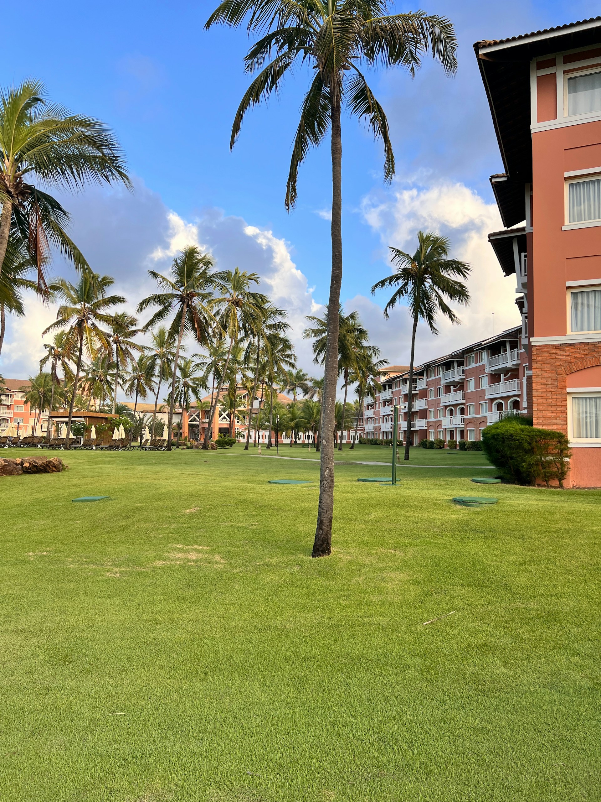 Palm trees and buildings under a blue sky.