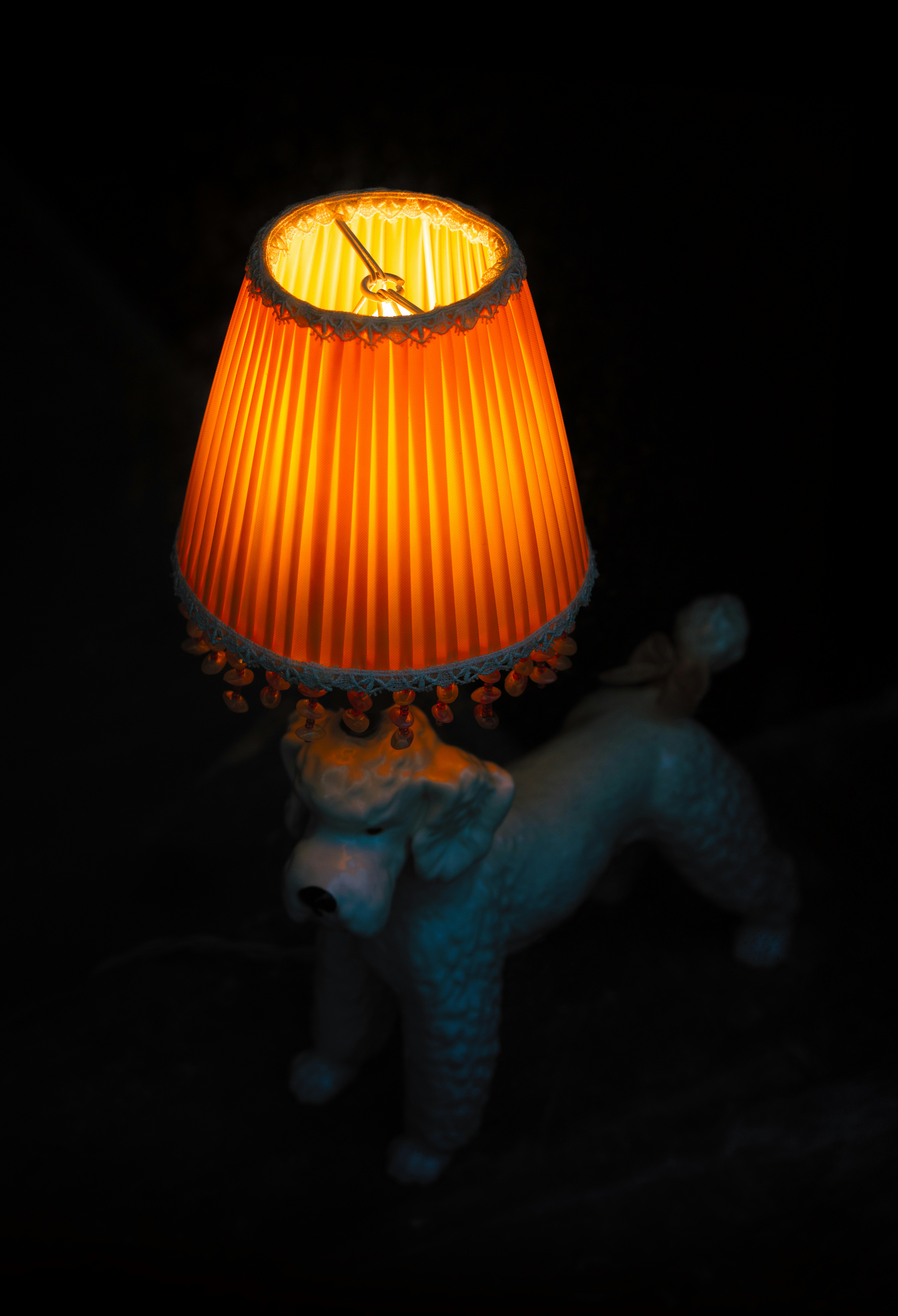 A poodle lamp glows warmly in the darkness.
