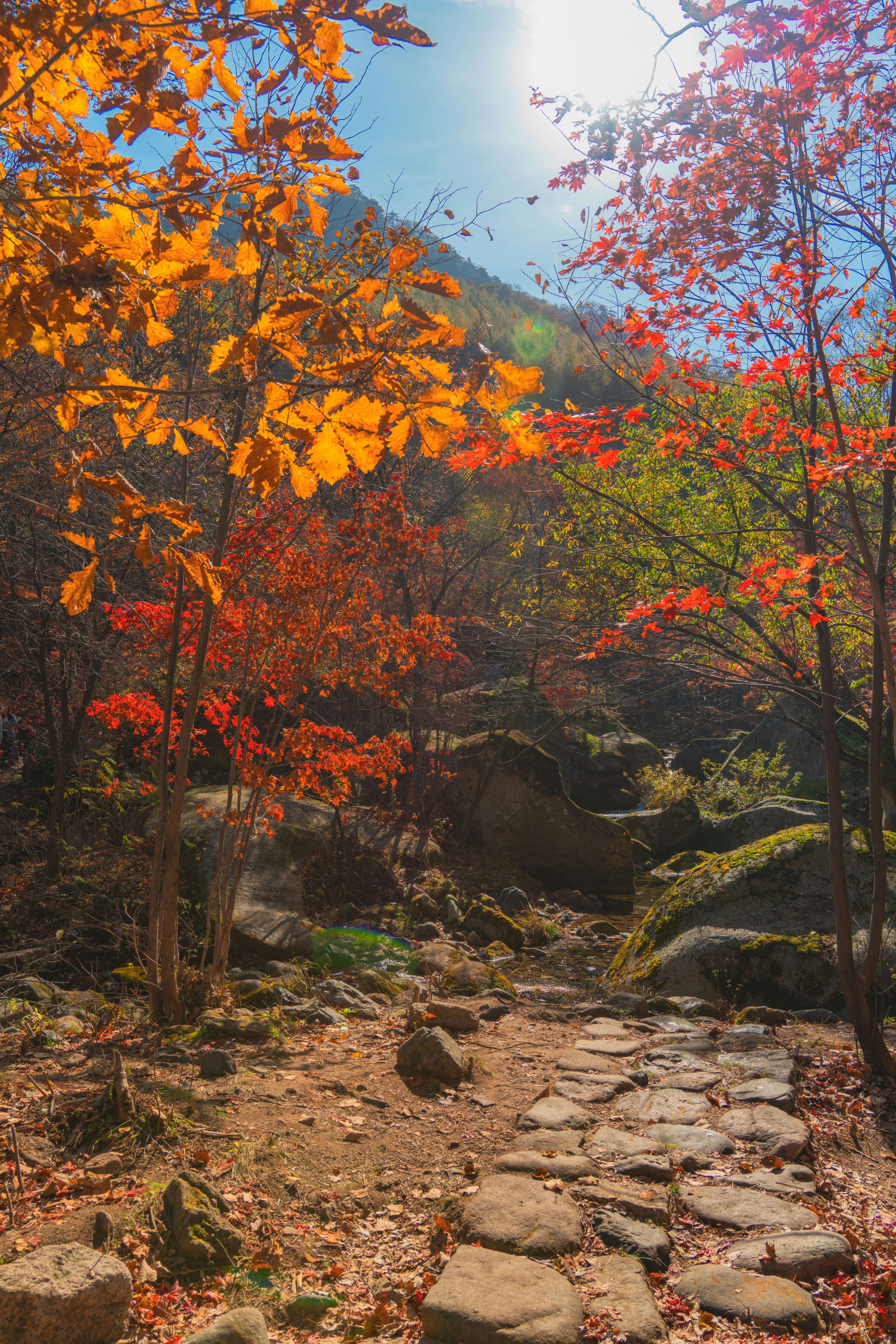 Photo by hattrick1996