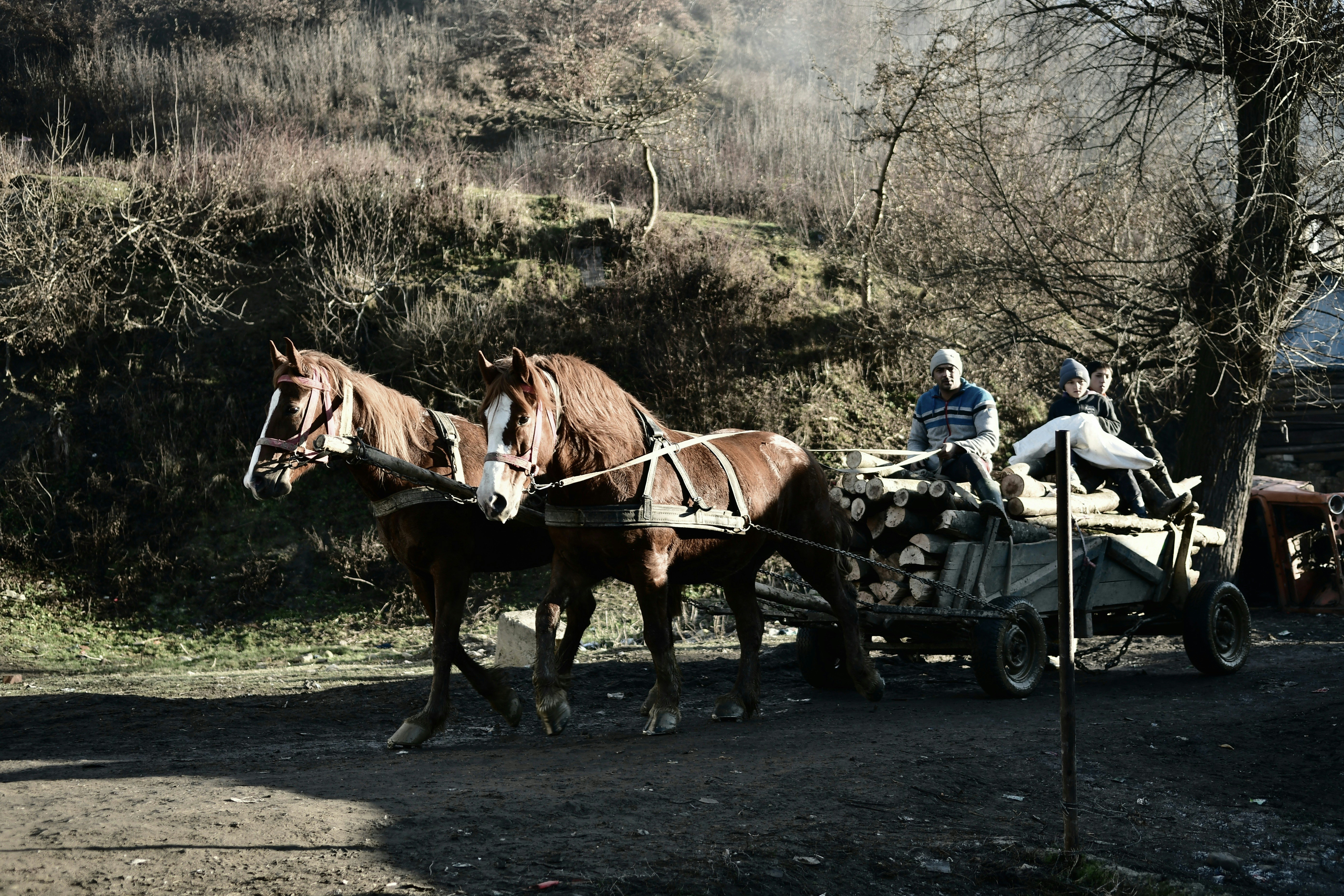 Photo by mderk