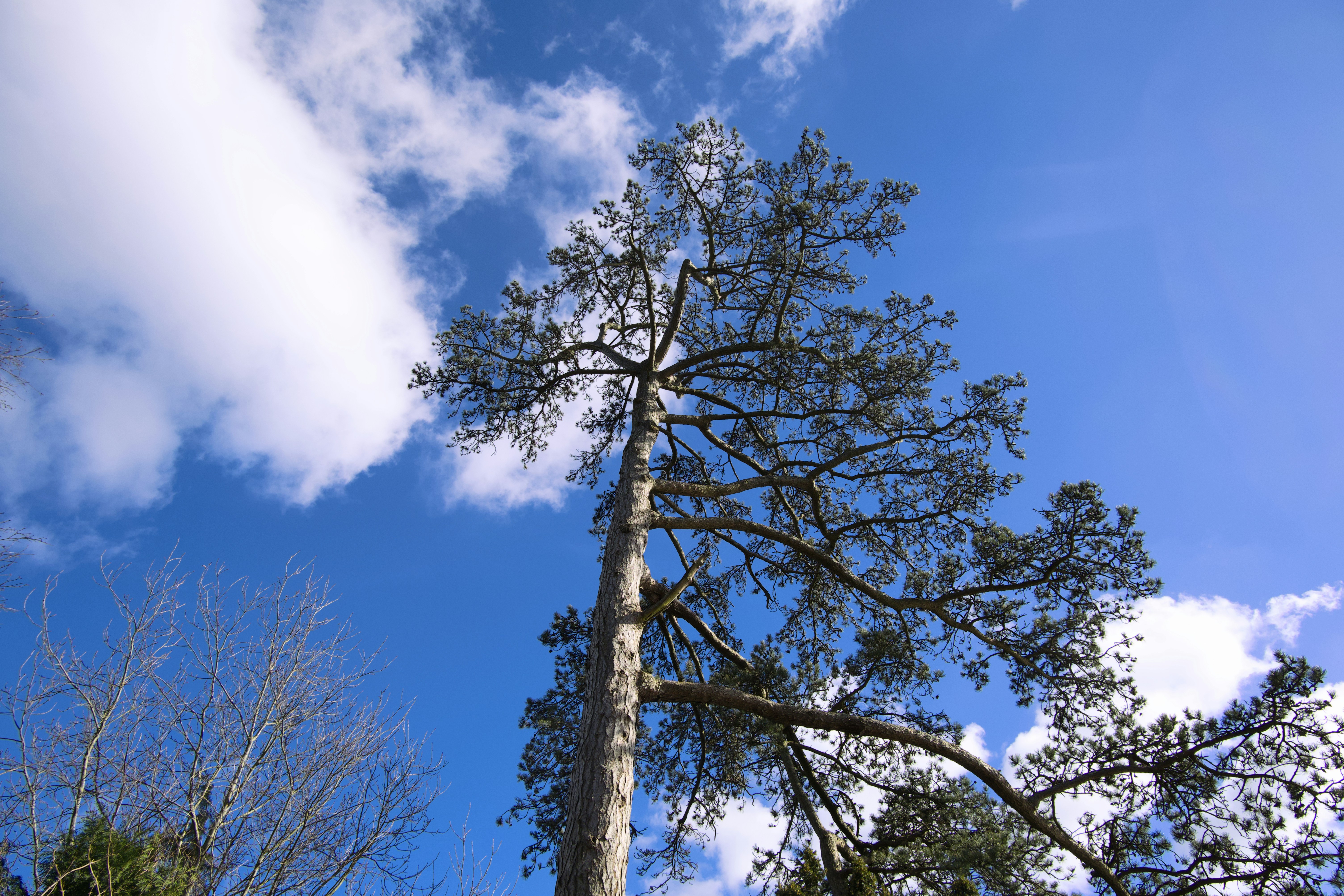 Wells Park