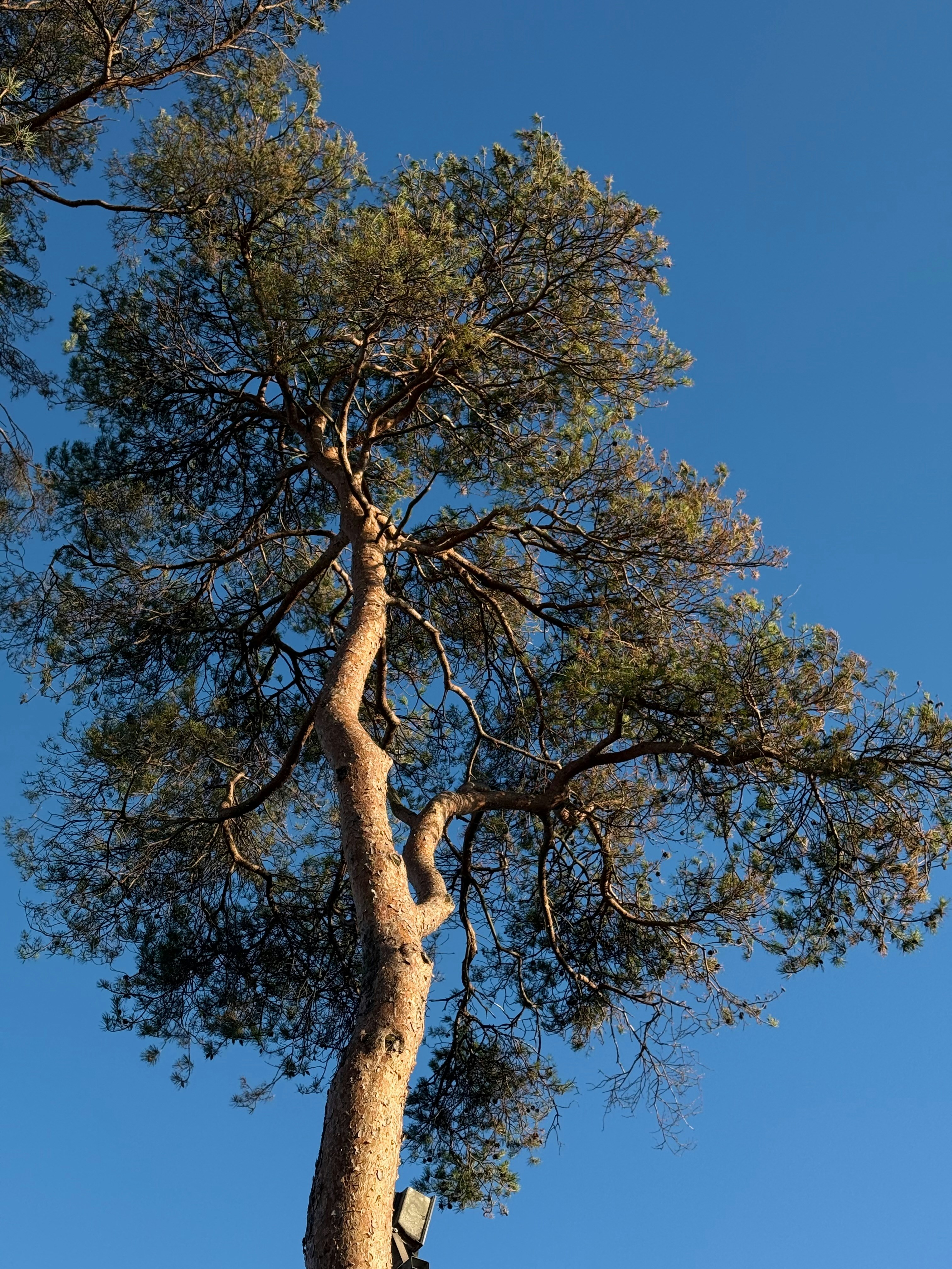 Photo by rahul_hari_das