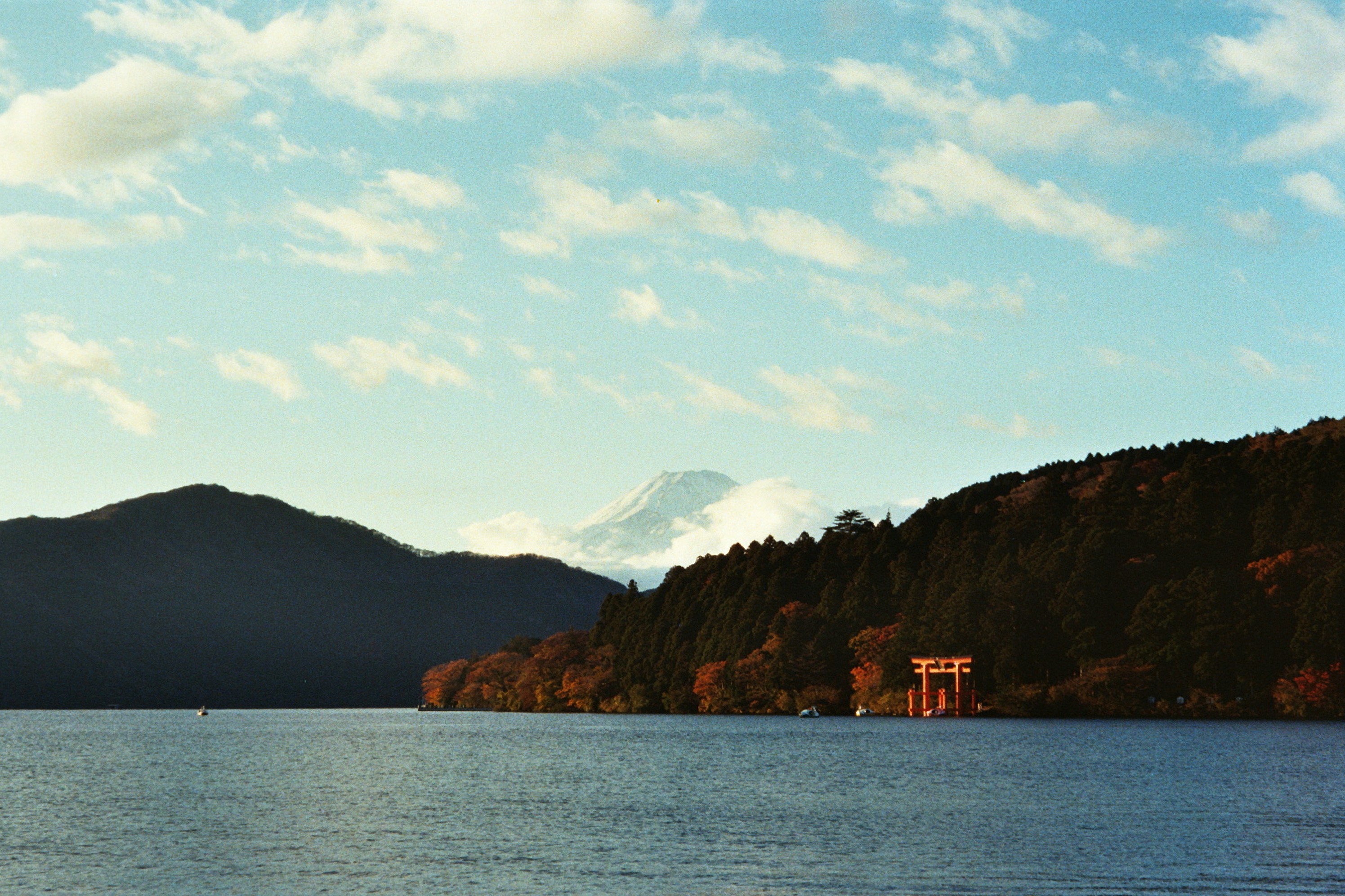 Photo by polloalcurry