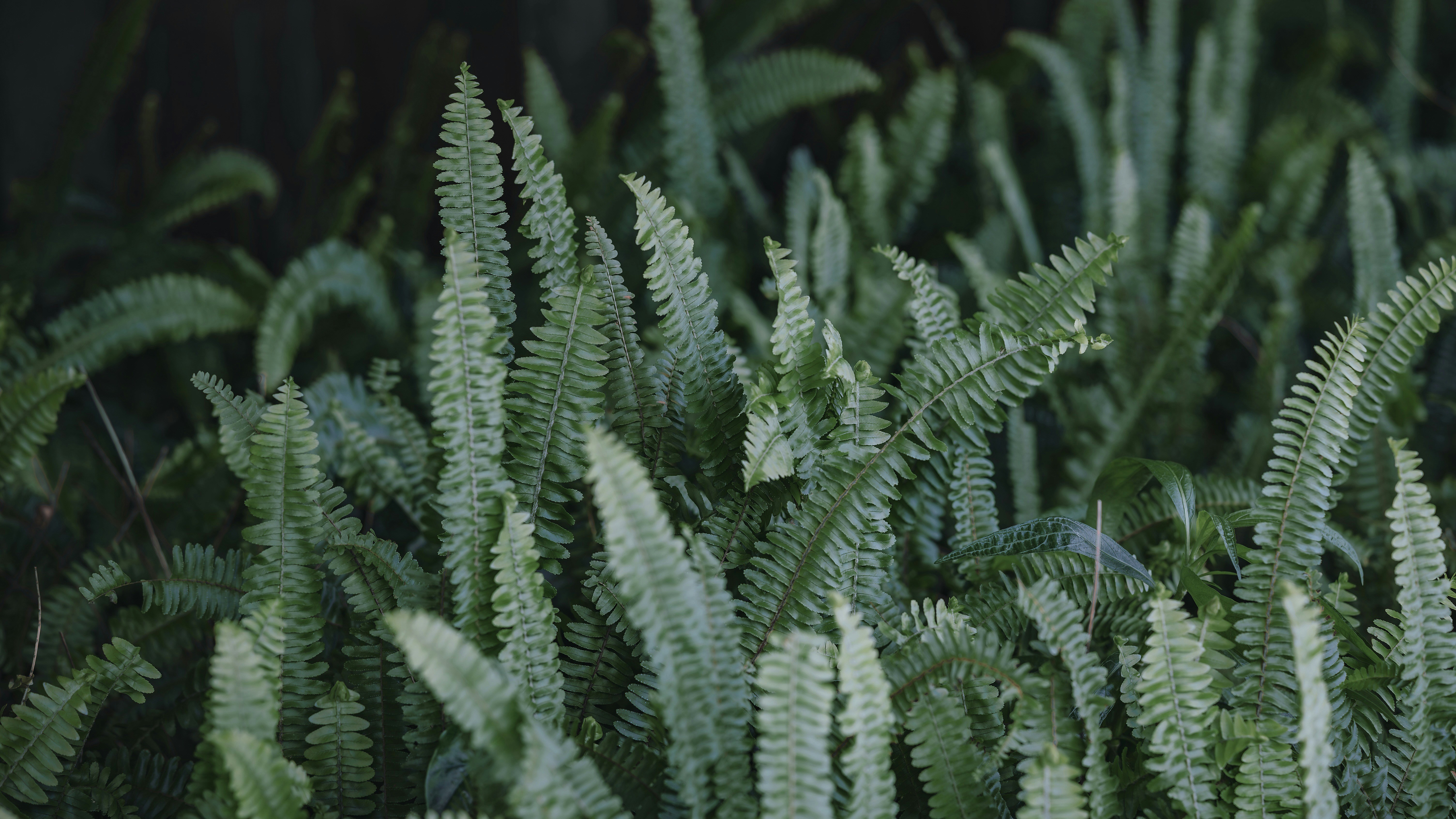 Photo by wangbinghua