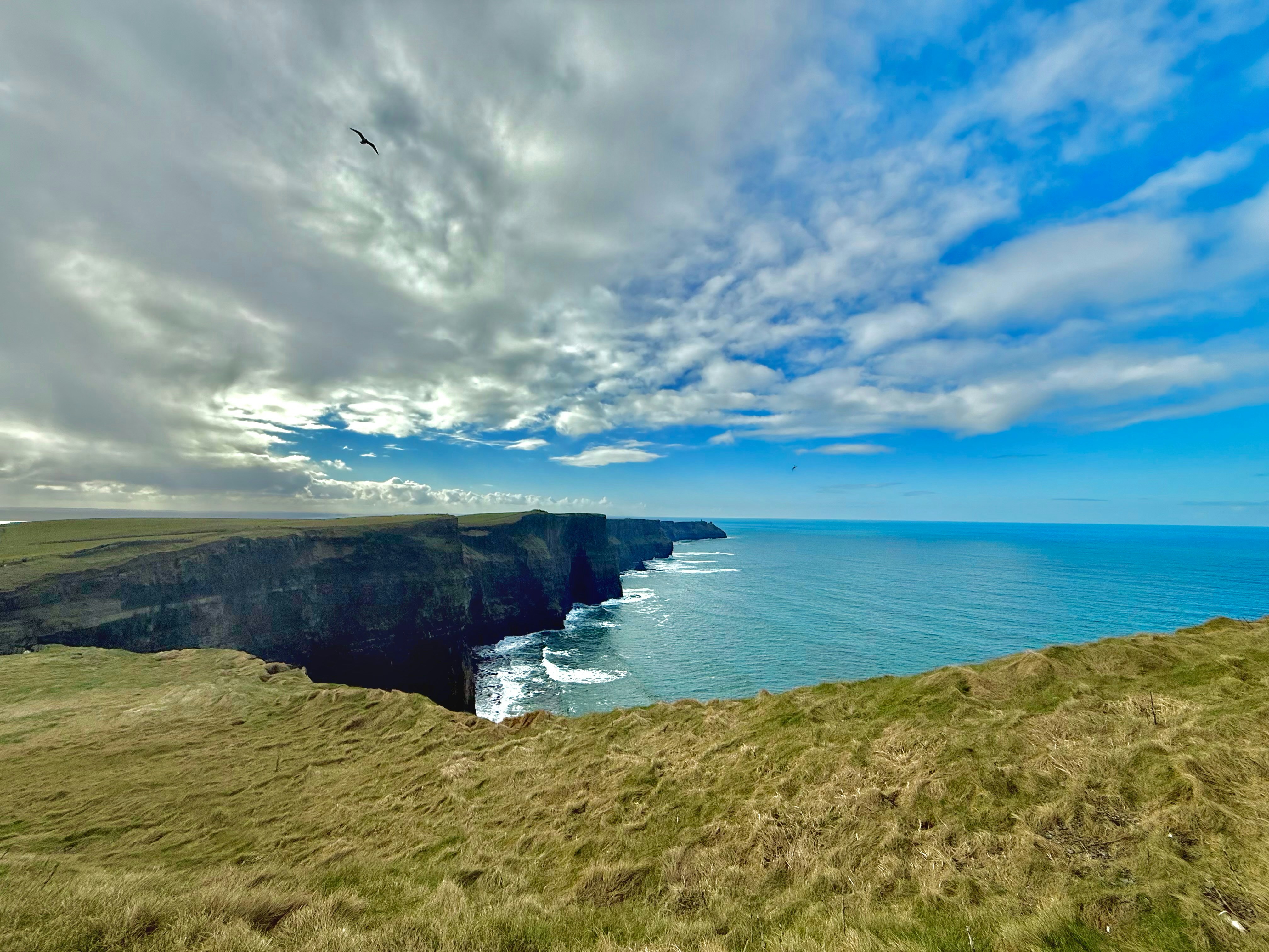 Photo by rahul_hari_das