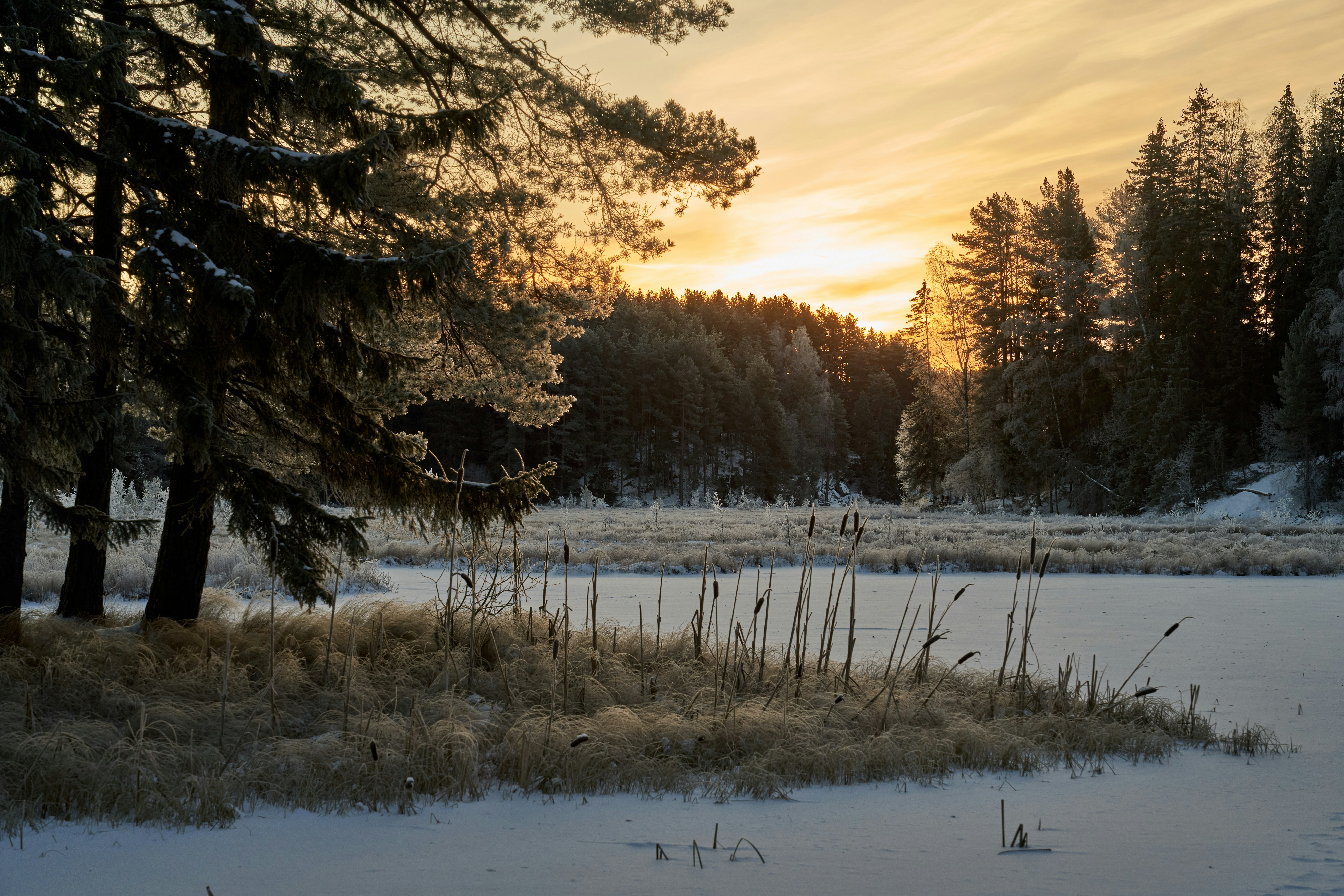 Photo by davotibarna