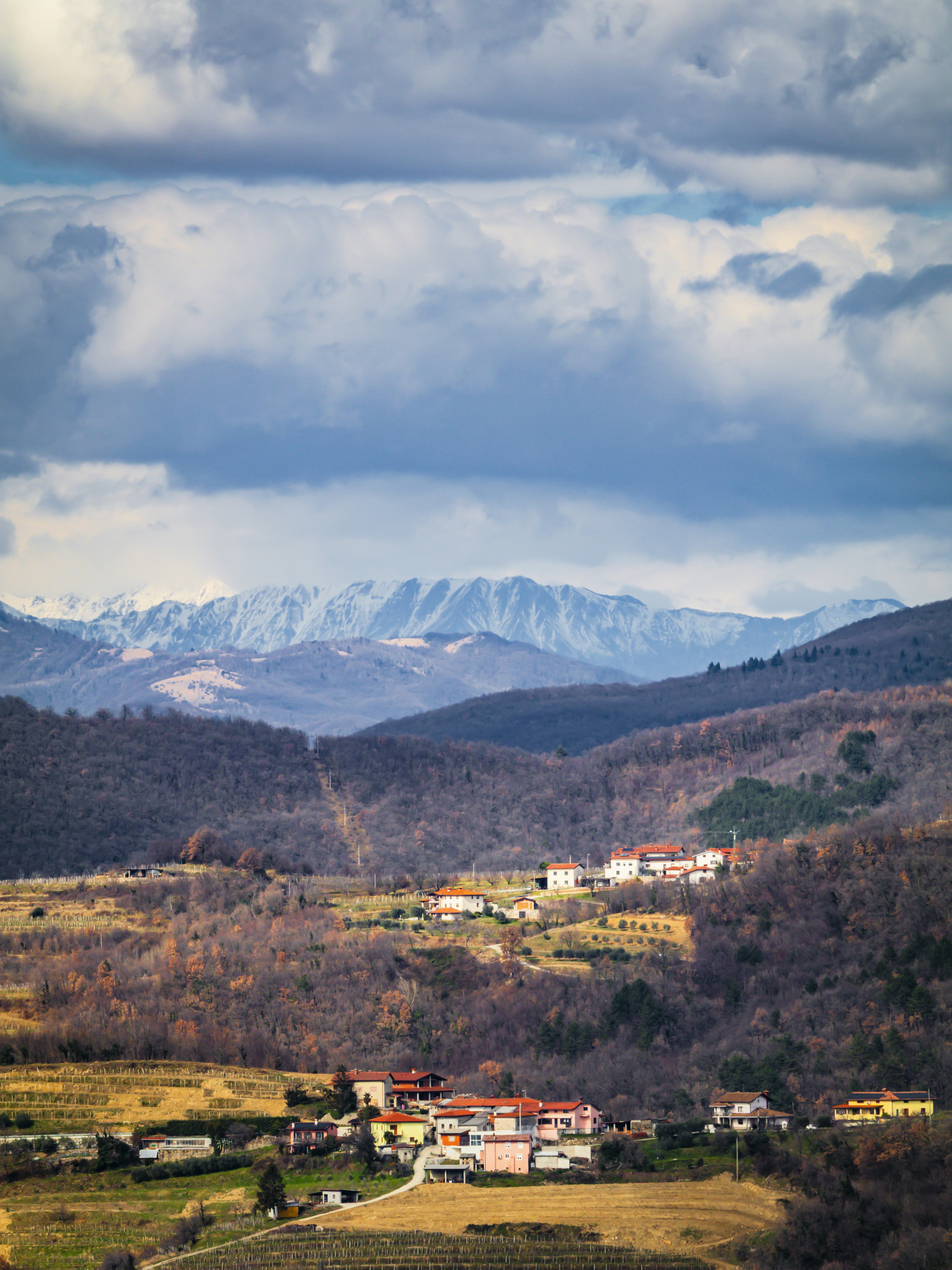Photo by merlin_visual