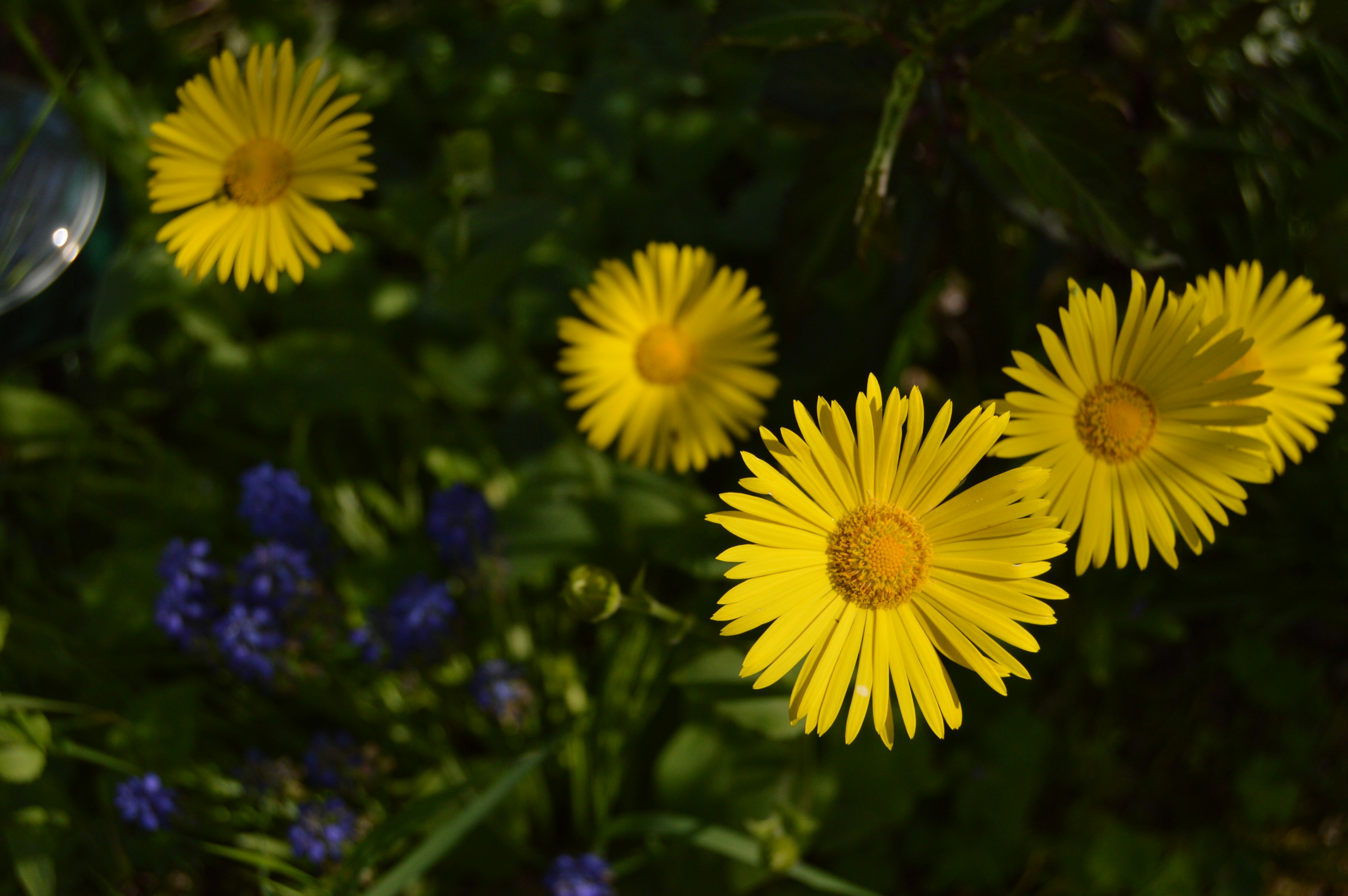 Photo by alexmunteanu