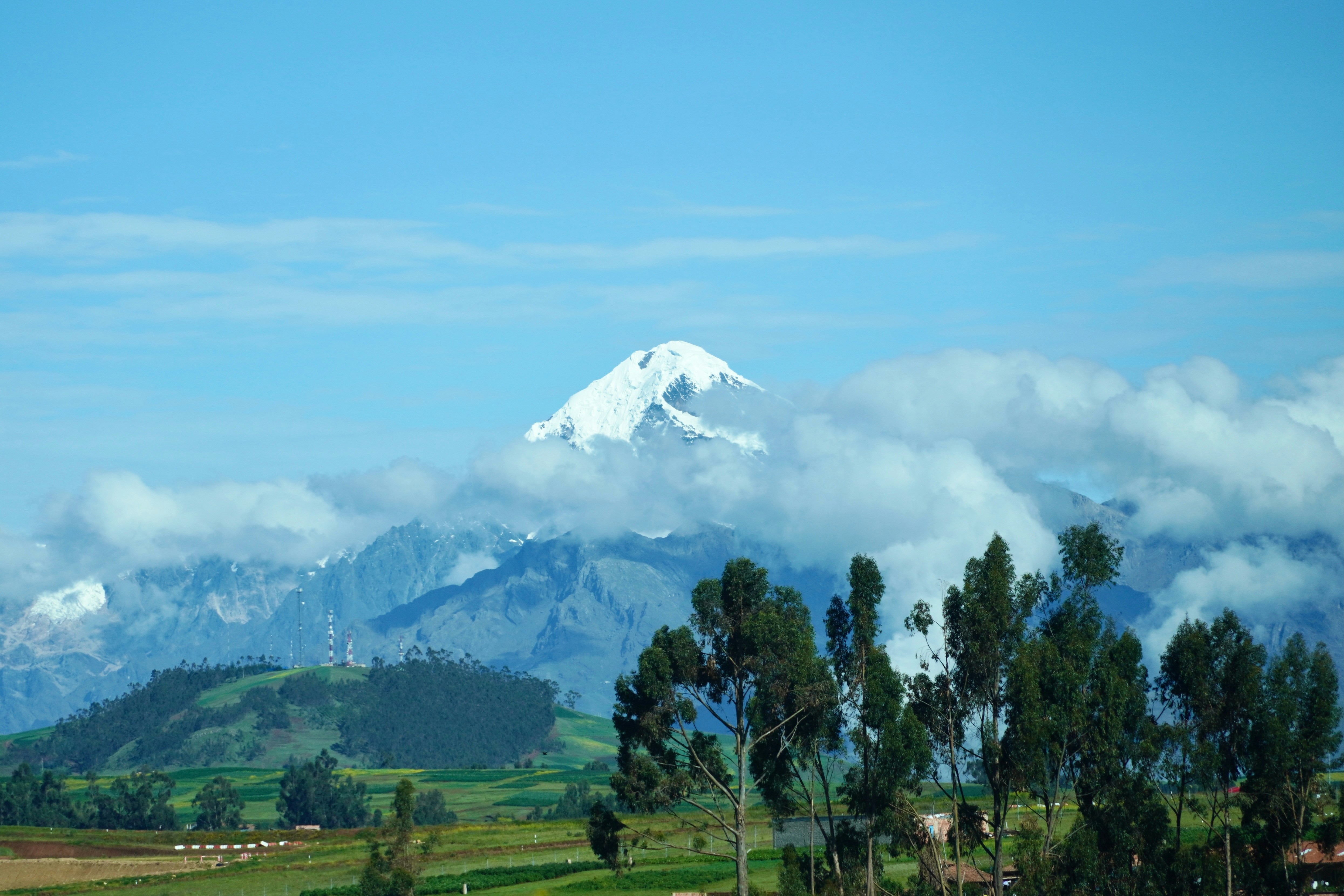 A view of a mountain range with trees in the foreground