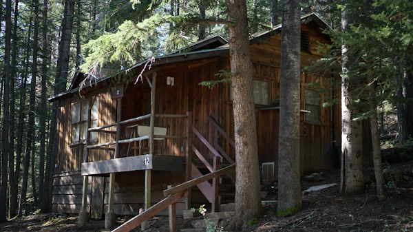 Rustic mountain cabin surrounded by trees