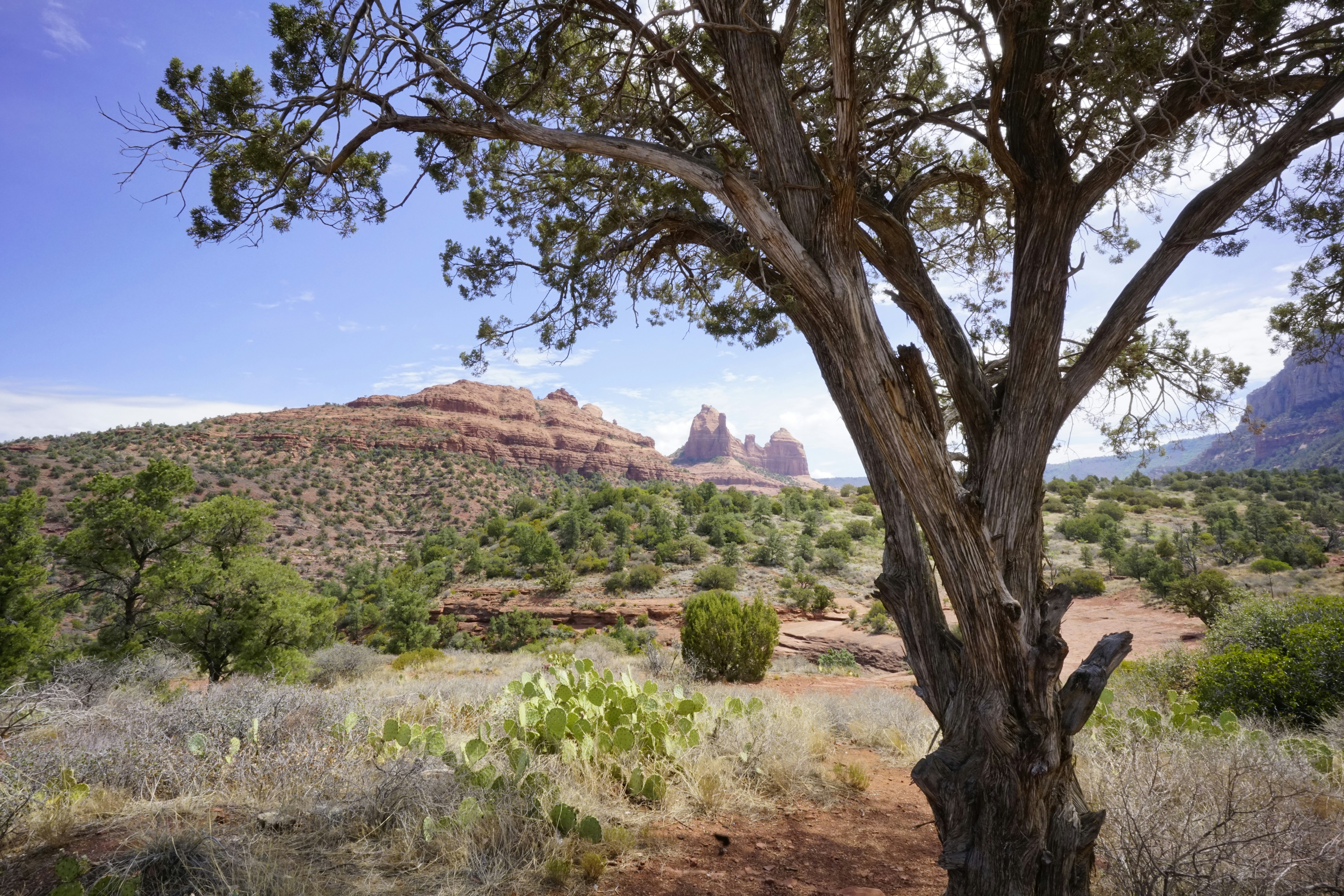 Scenic view of a desert landscape.