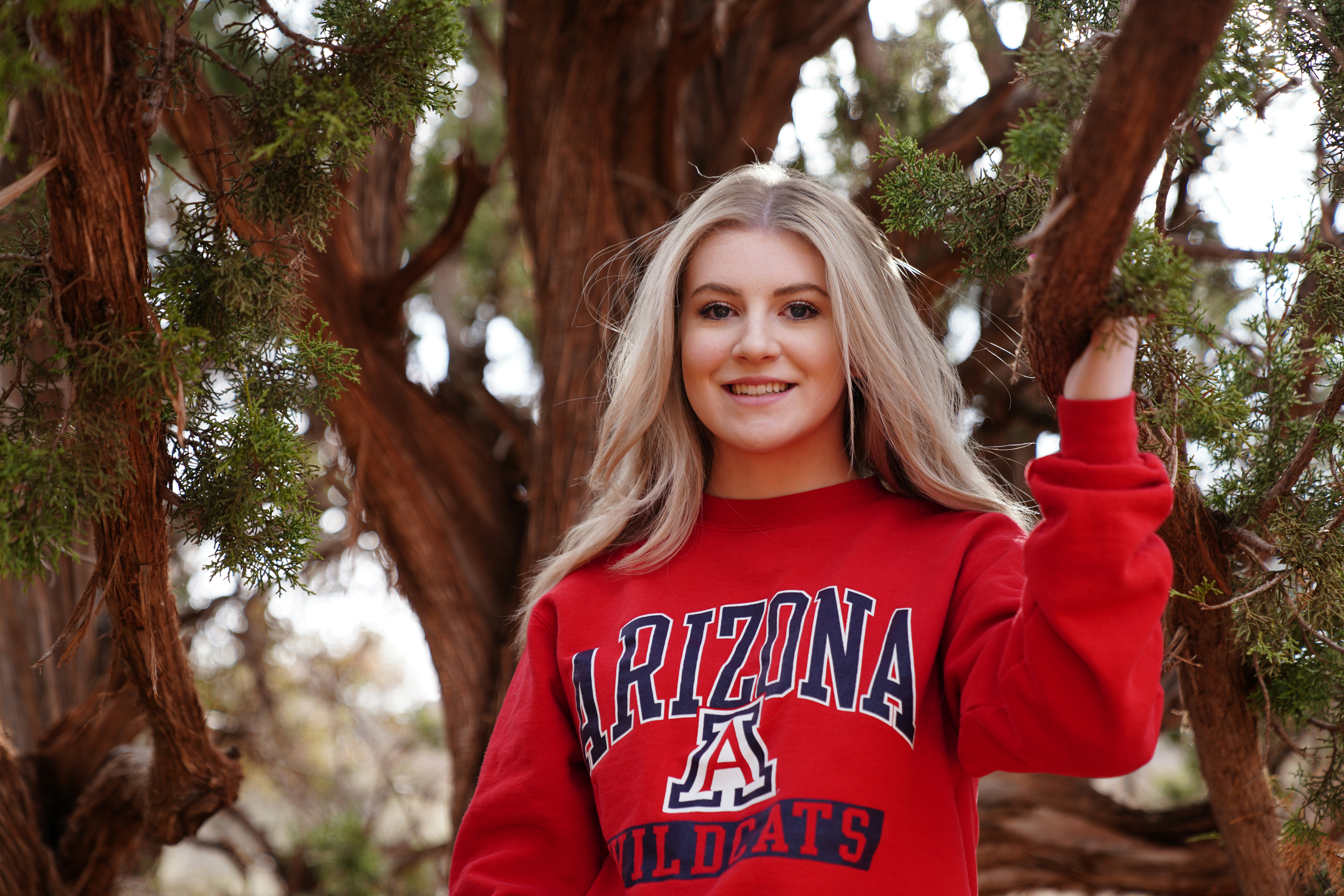 Share Your Wishes for The University of Arizona: Go Wildcats!