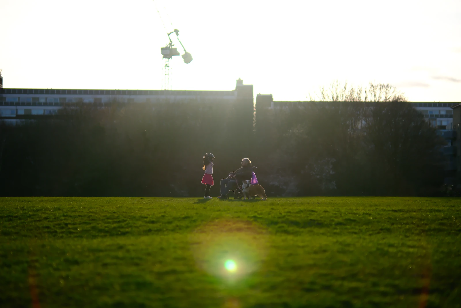 Een picknick in het gras in de zon