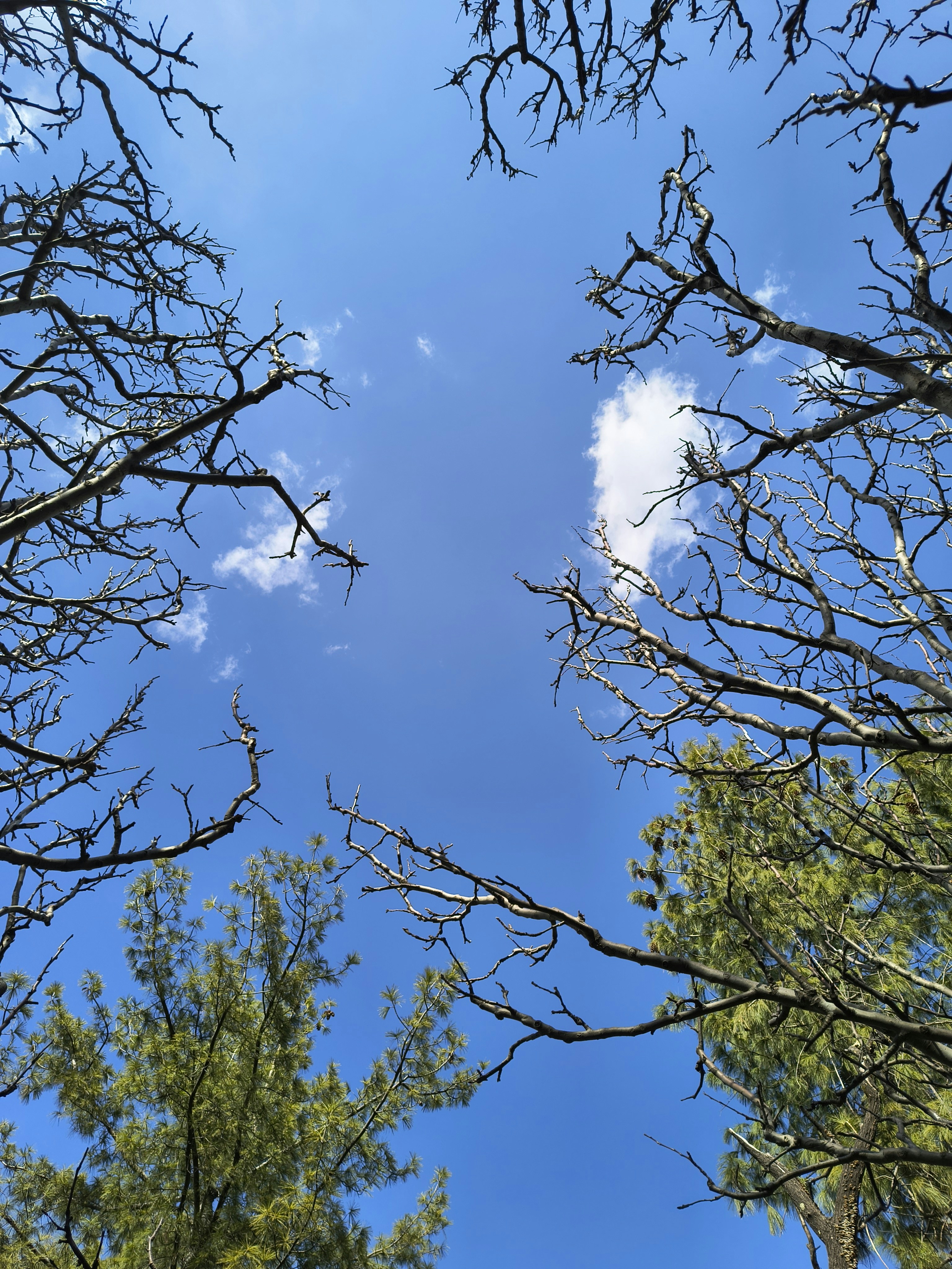 Photo by gaurav_rawat