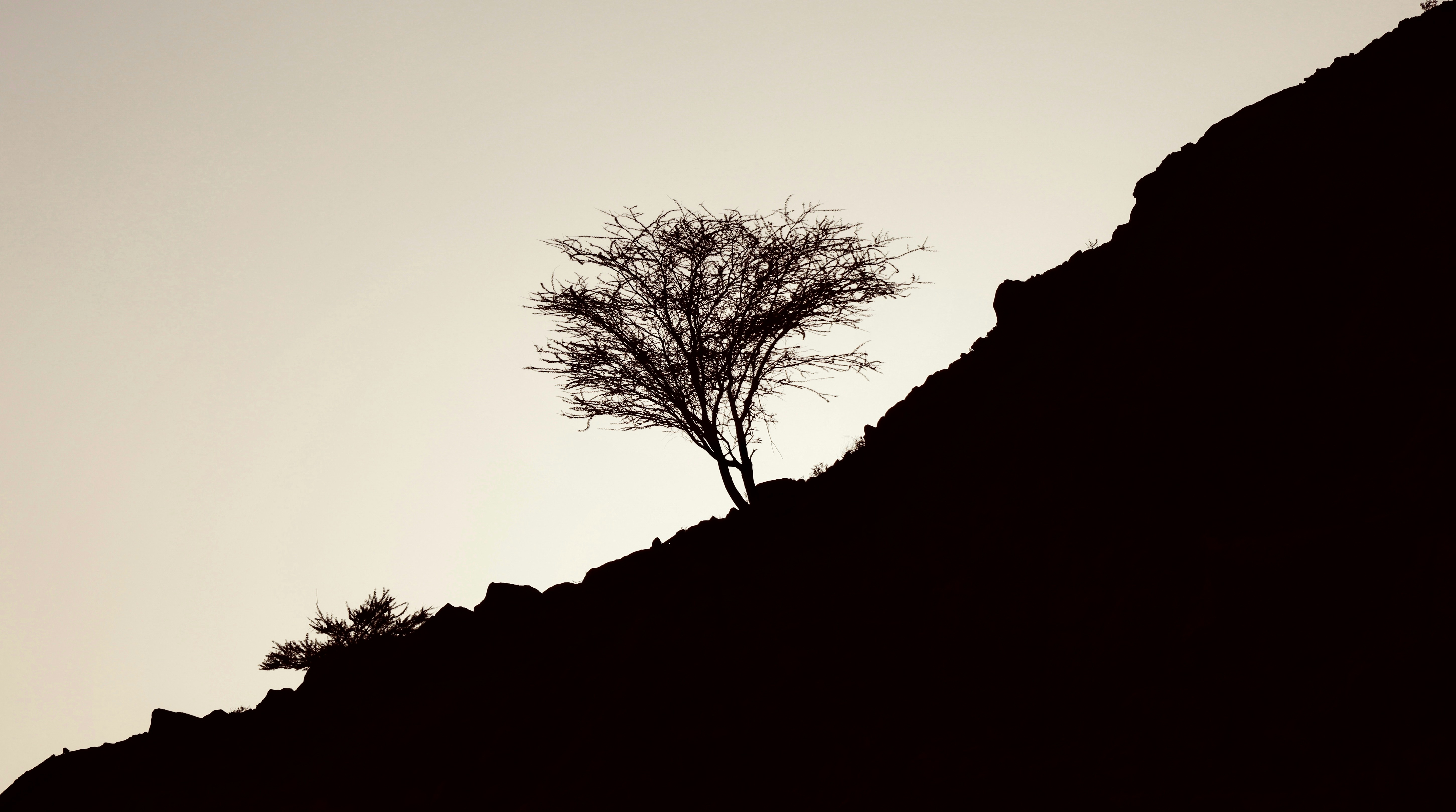 Photo by giovanninehme