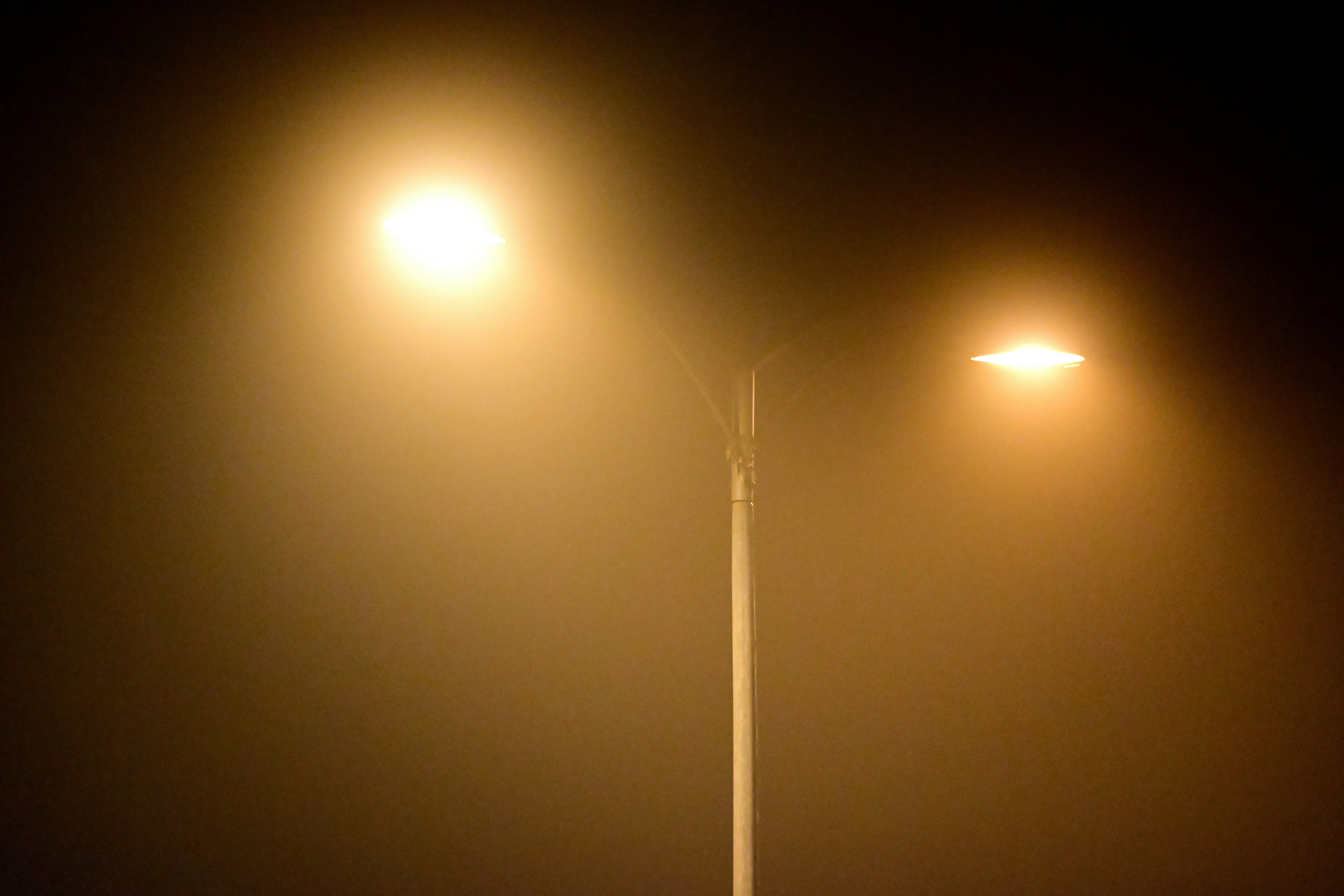 Photo by aminzabardast