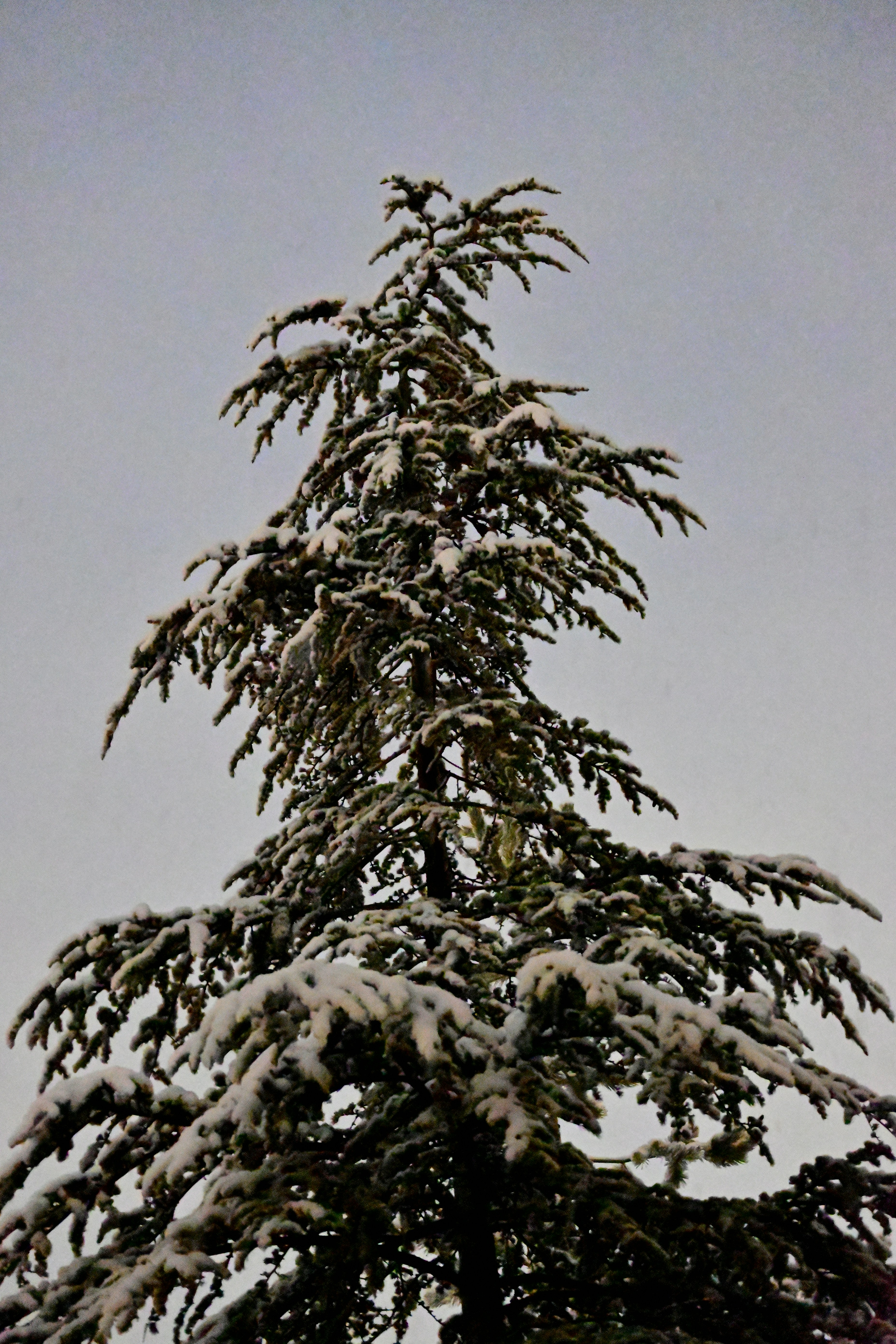 Photo by aminzabardast