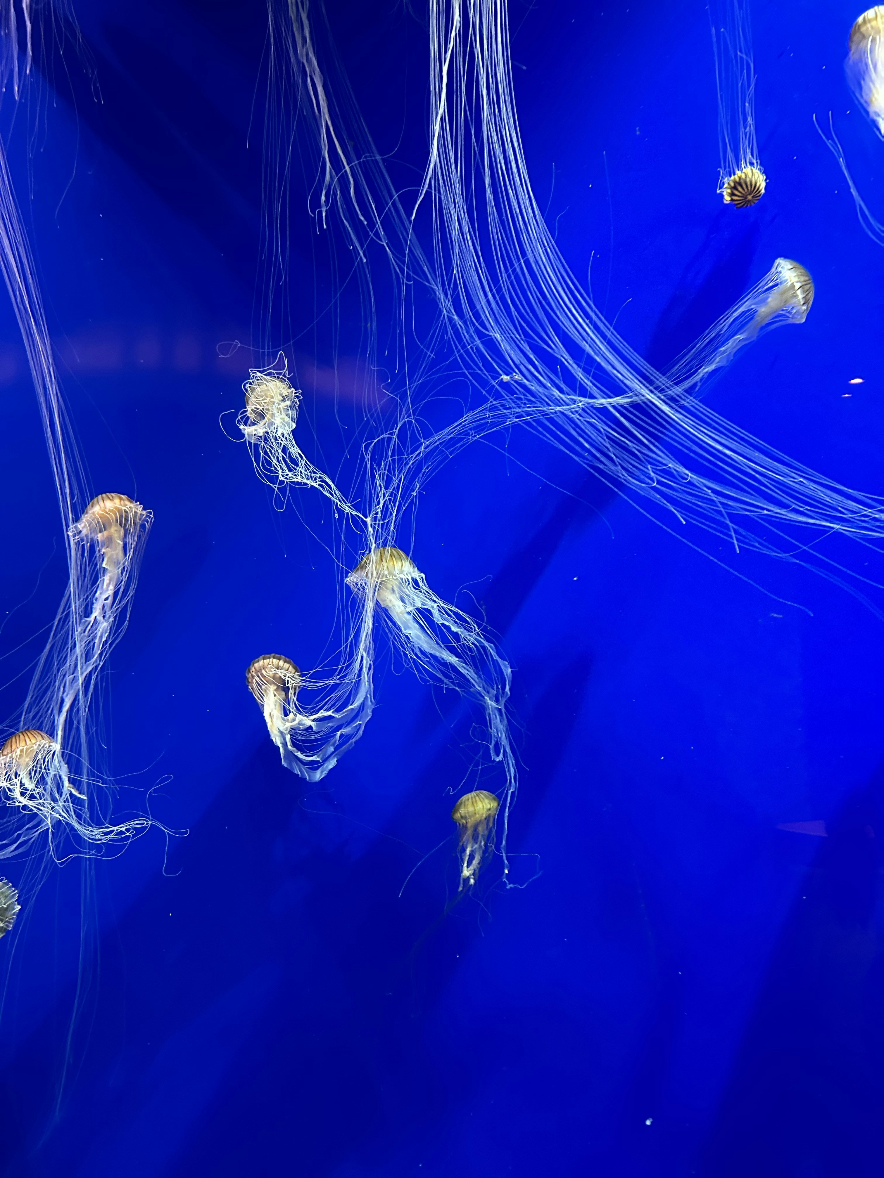 Photo by enamoradaaa