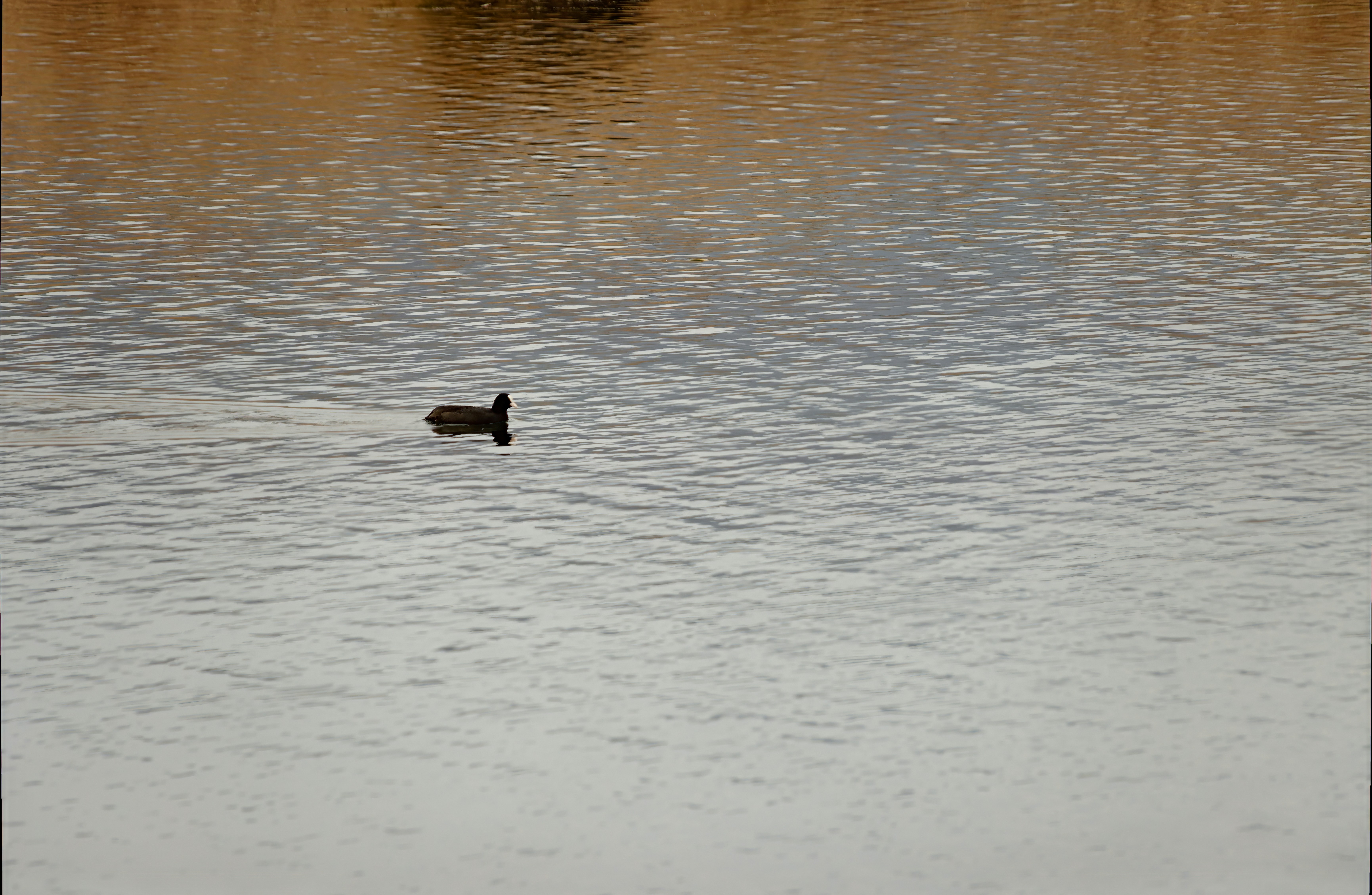 Photo by mircovitti87