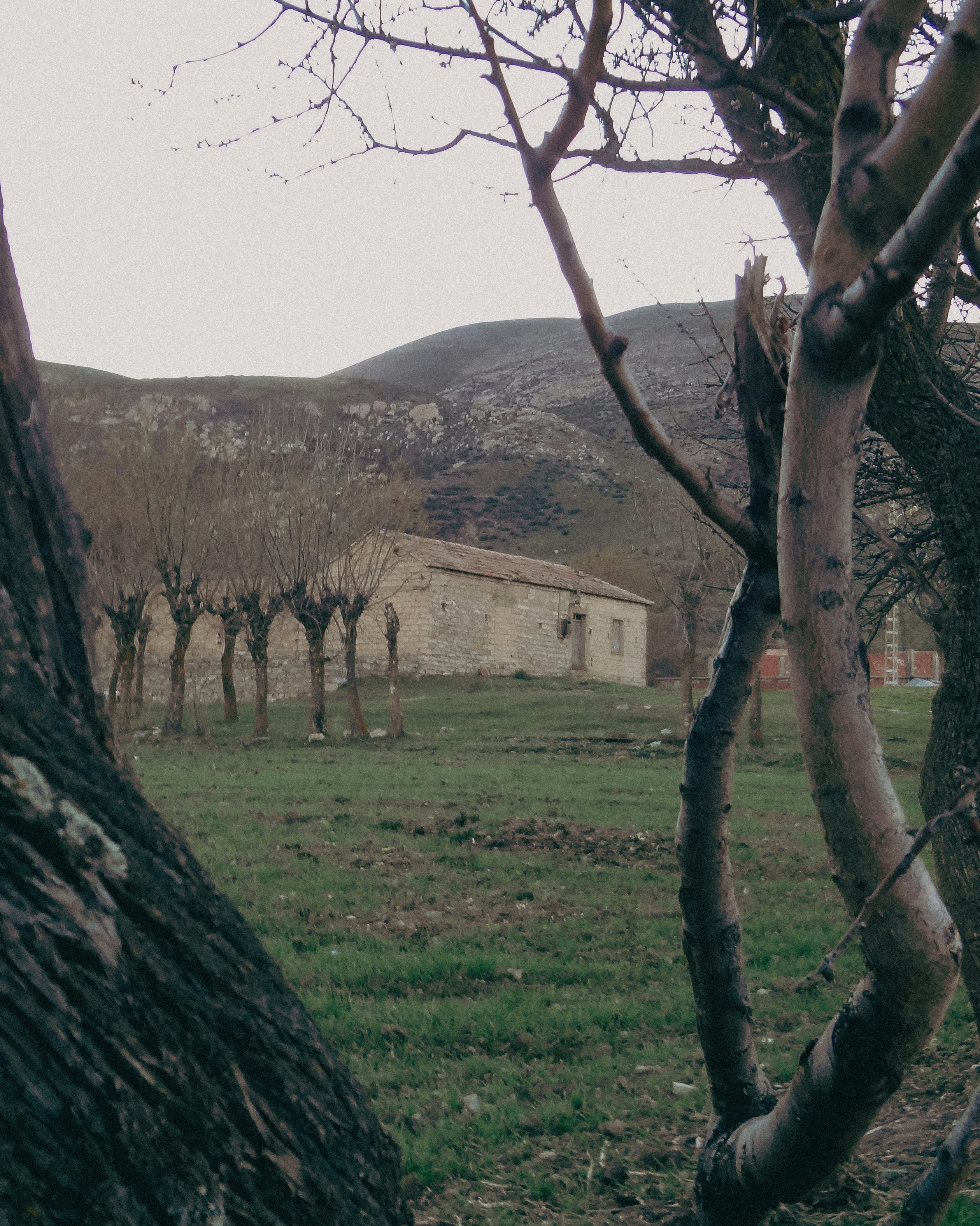 A field with a bunch of trees and a building in the background