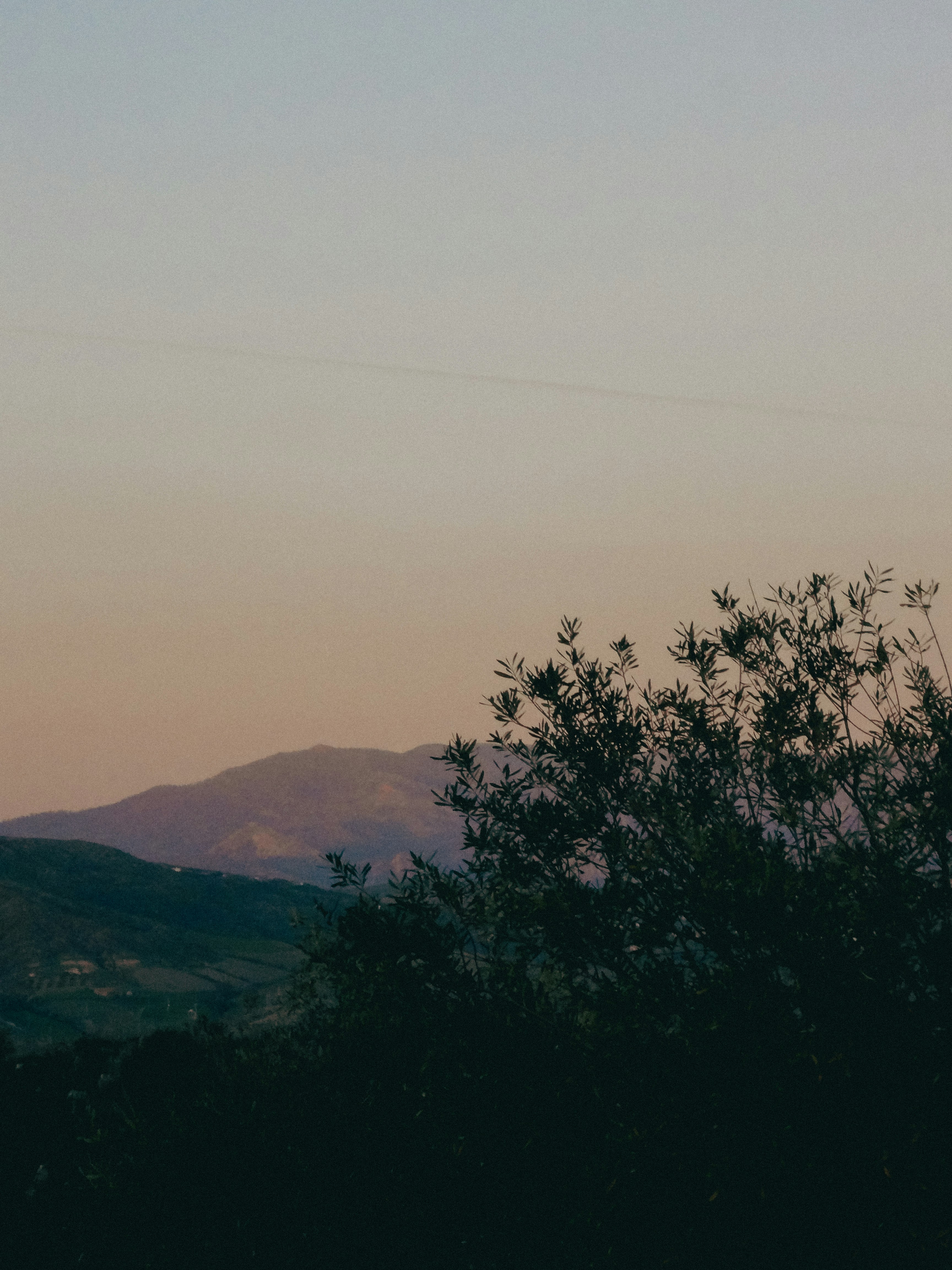 Photo by idris_djoudi