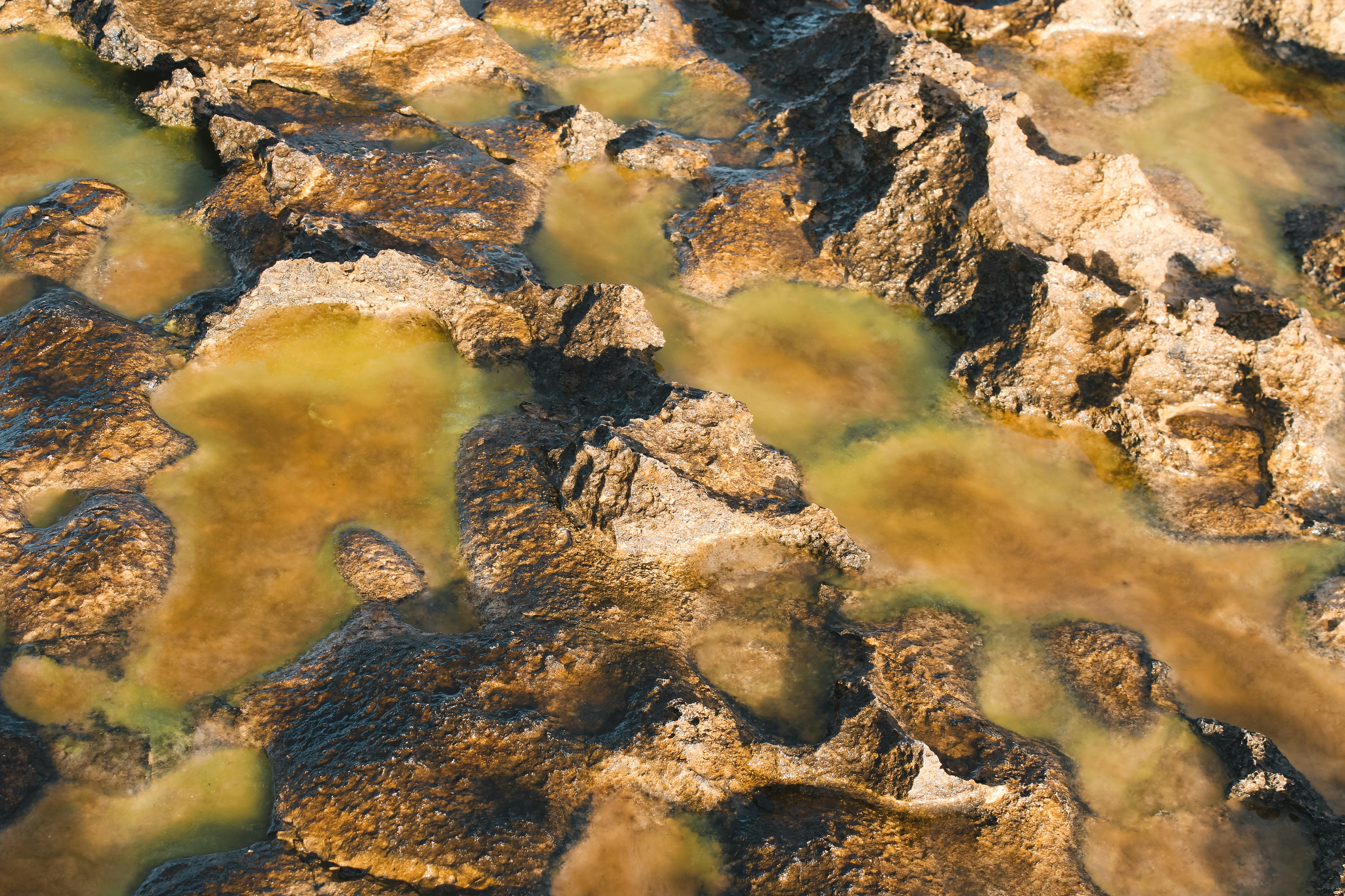 Photo by kwestioning