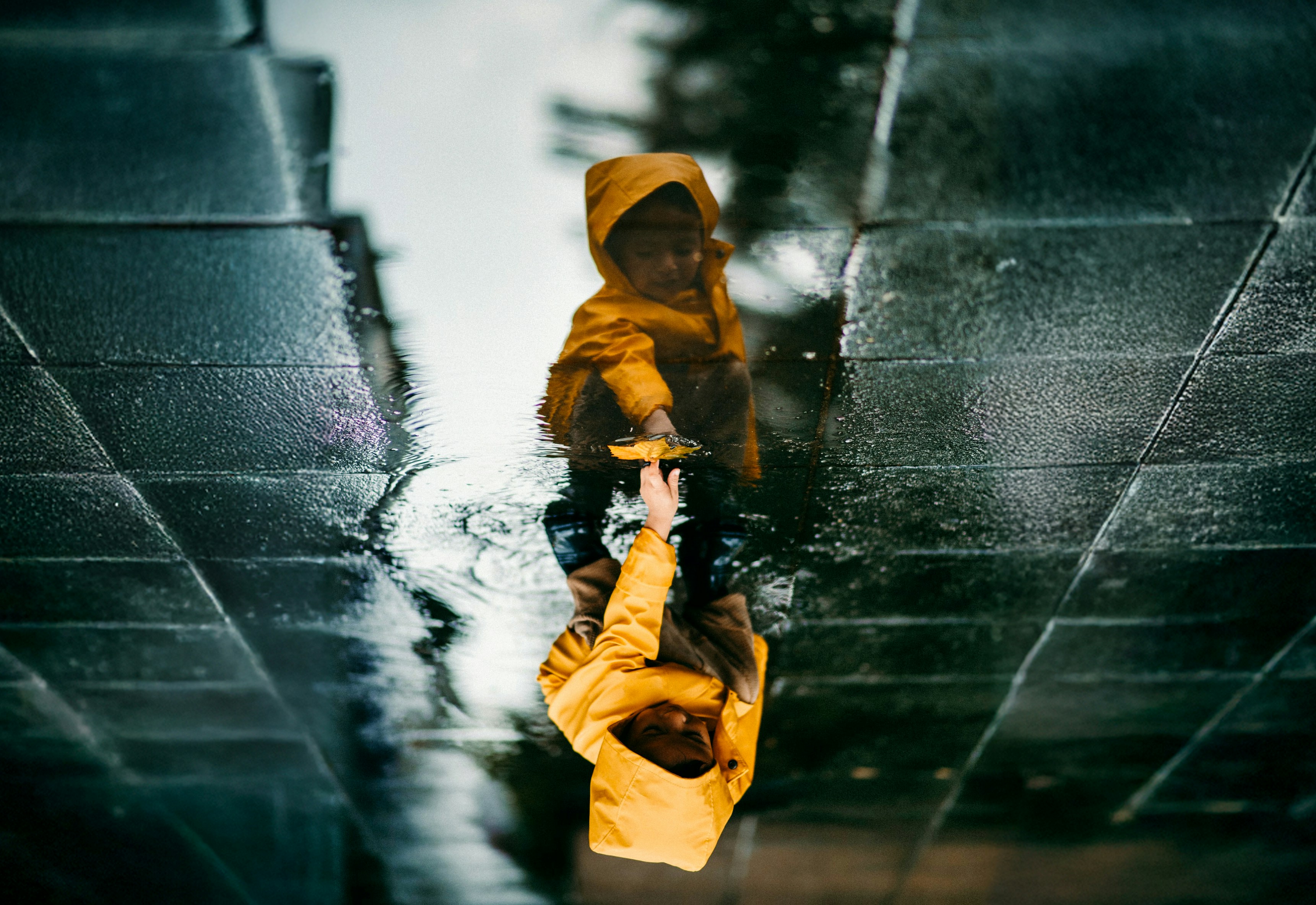 Photo by pekeshorked